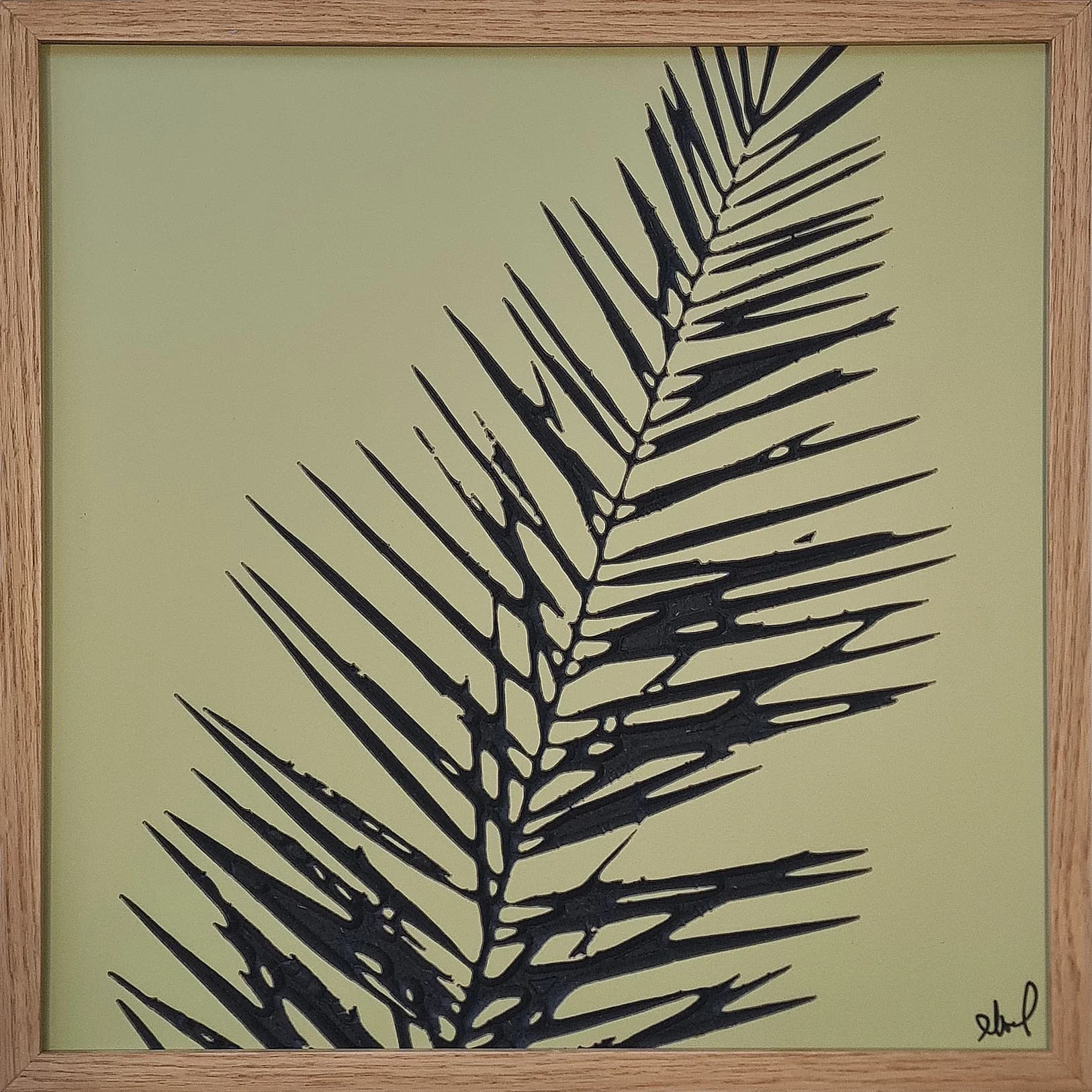 Palm Shadow Study