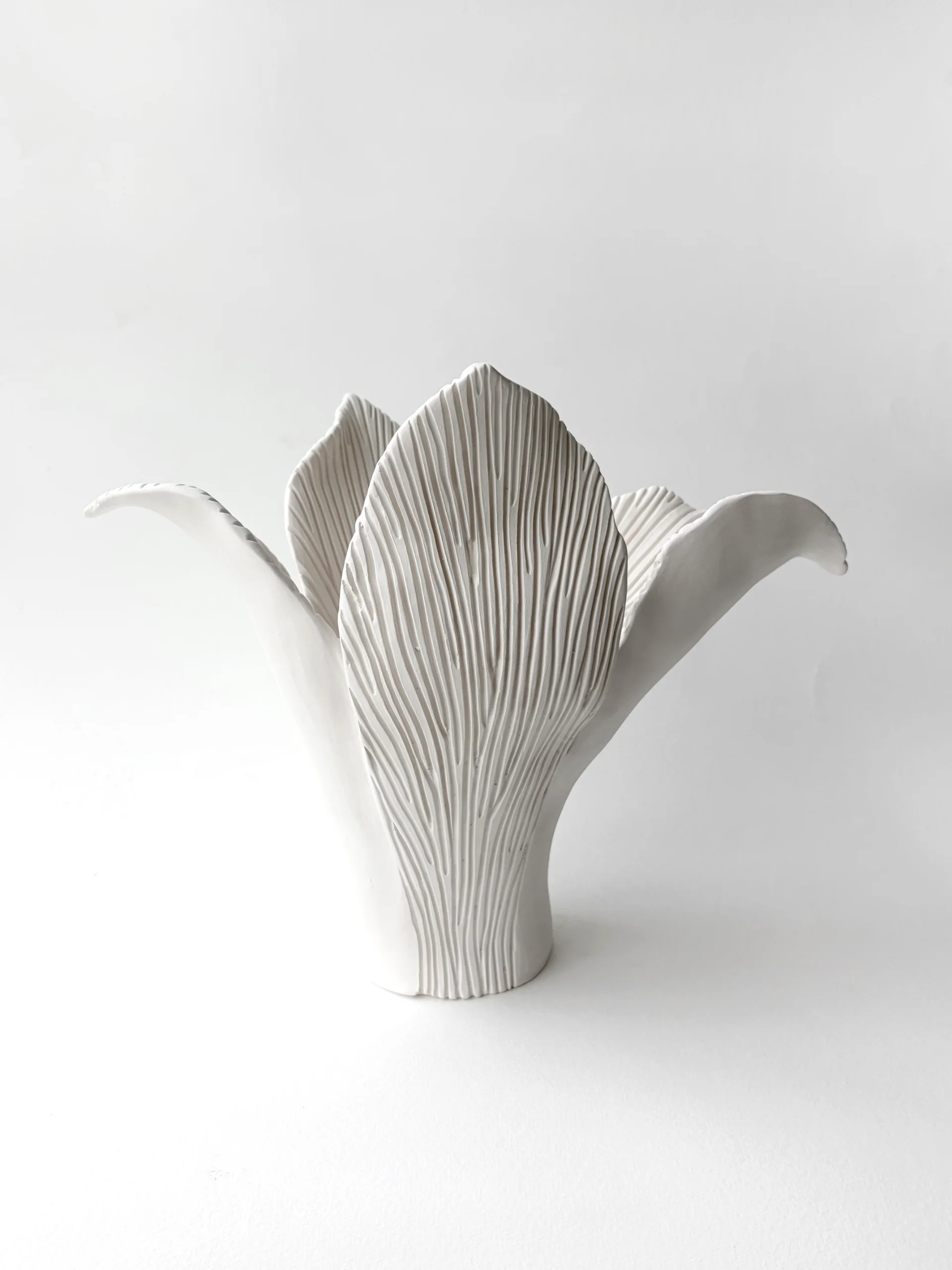 BOTANICAL UNFOLDING // No. 08