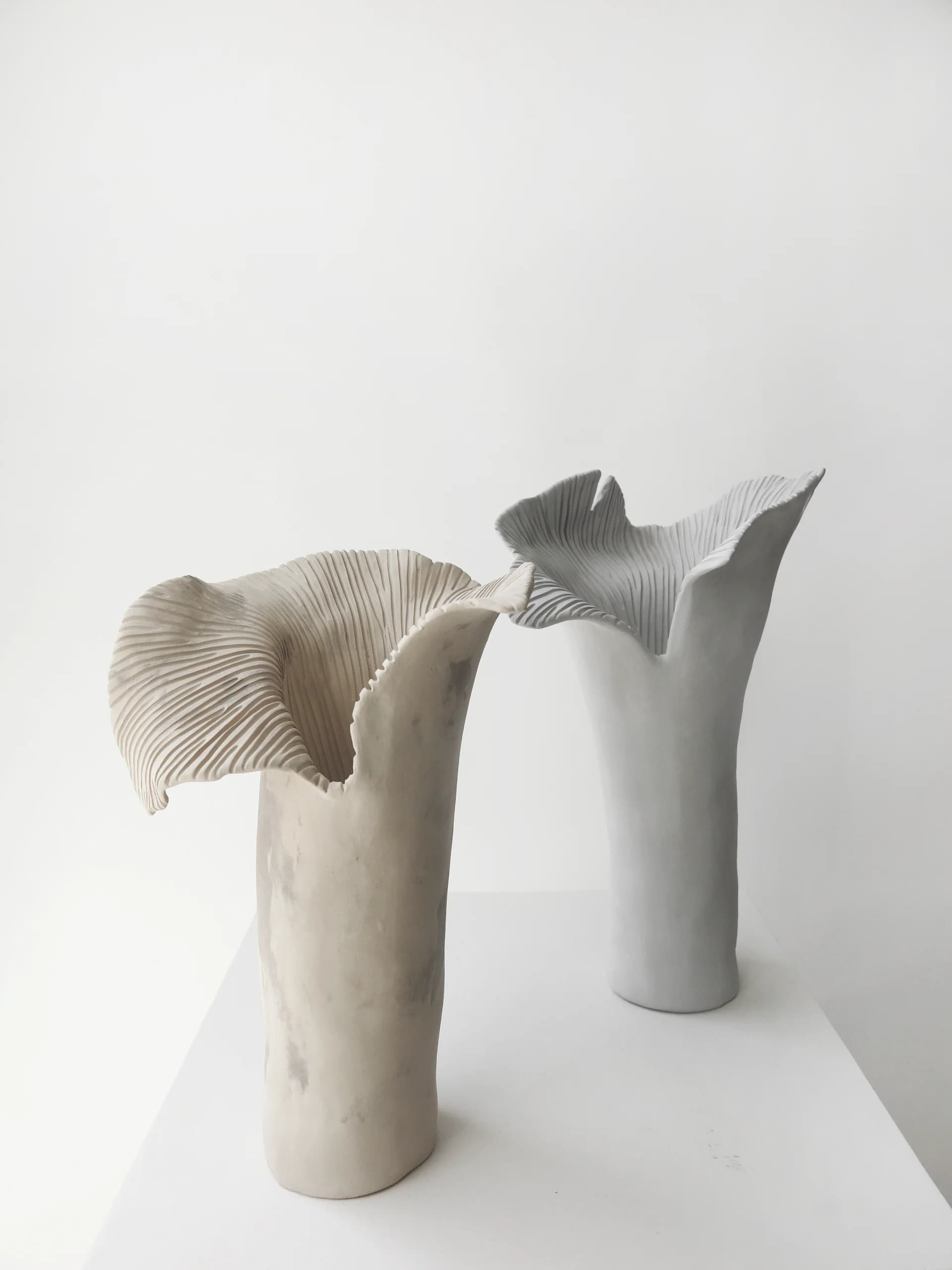 M WILD MUSHROOM BLOOM // NO 1