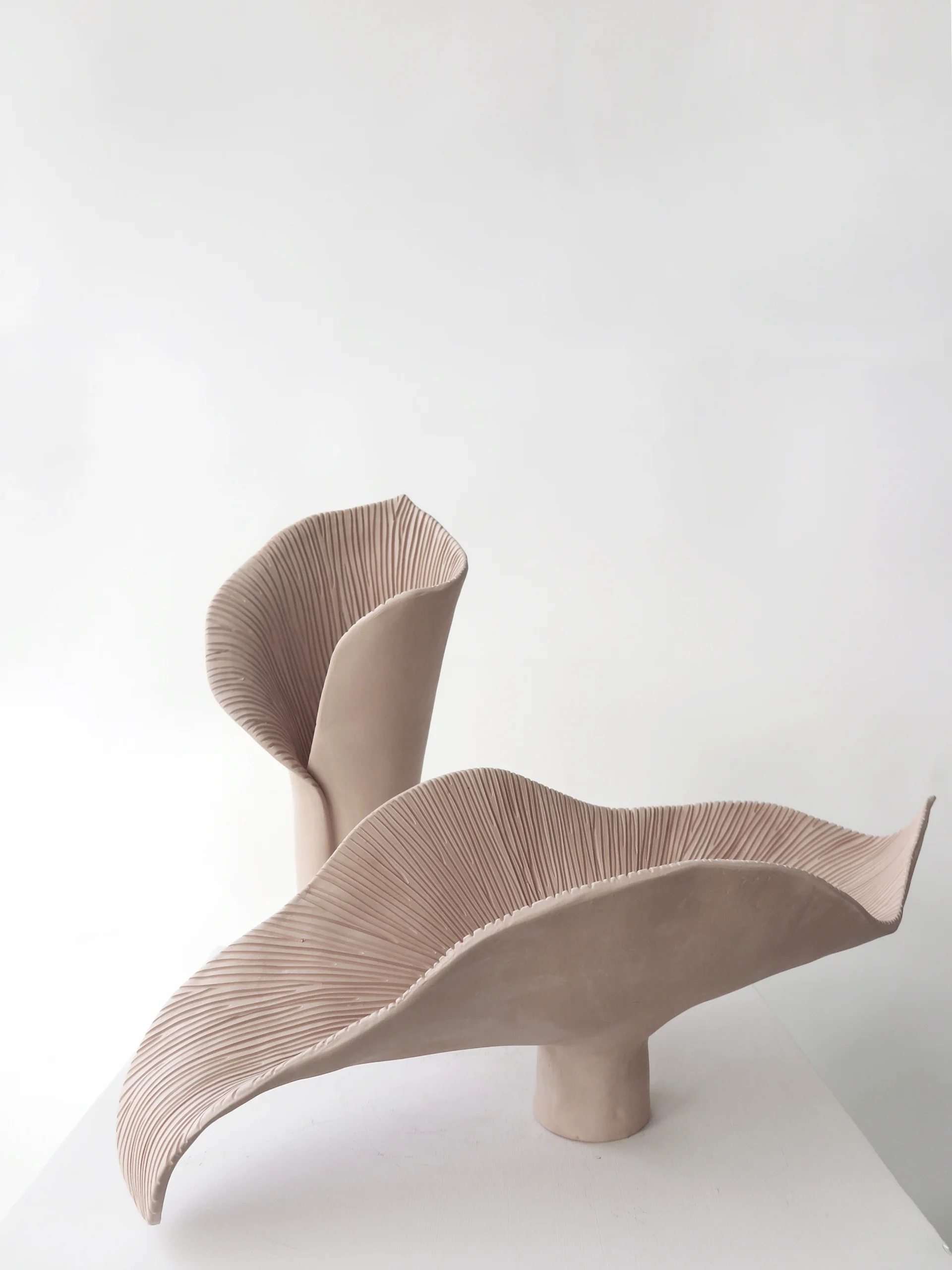 L WILD MUSHROOM BLOOM // BOWL // No. 1