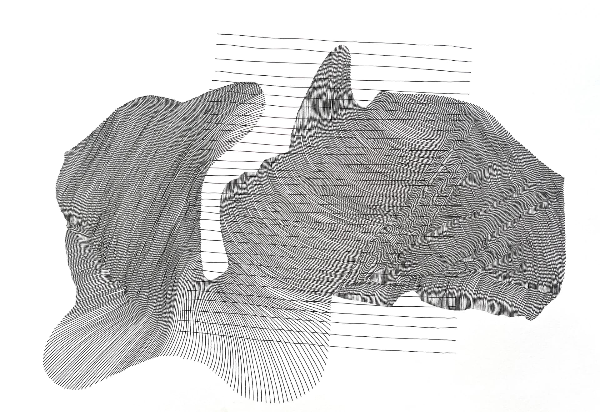 Contour in Motion