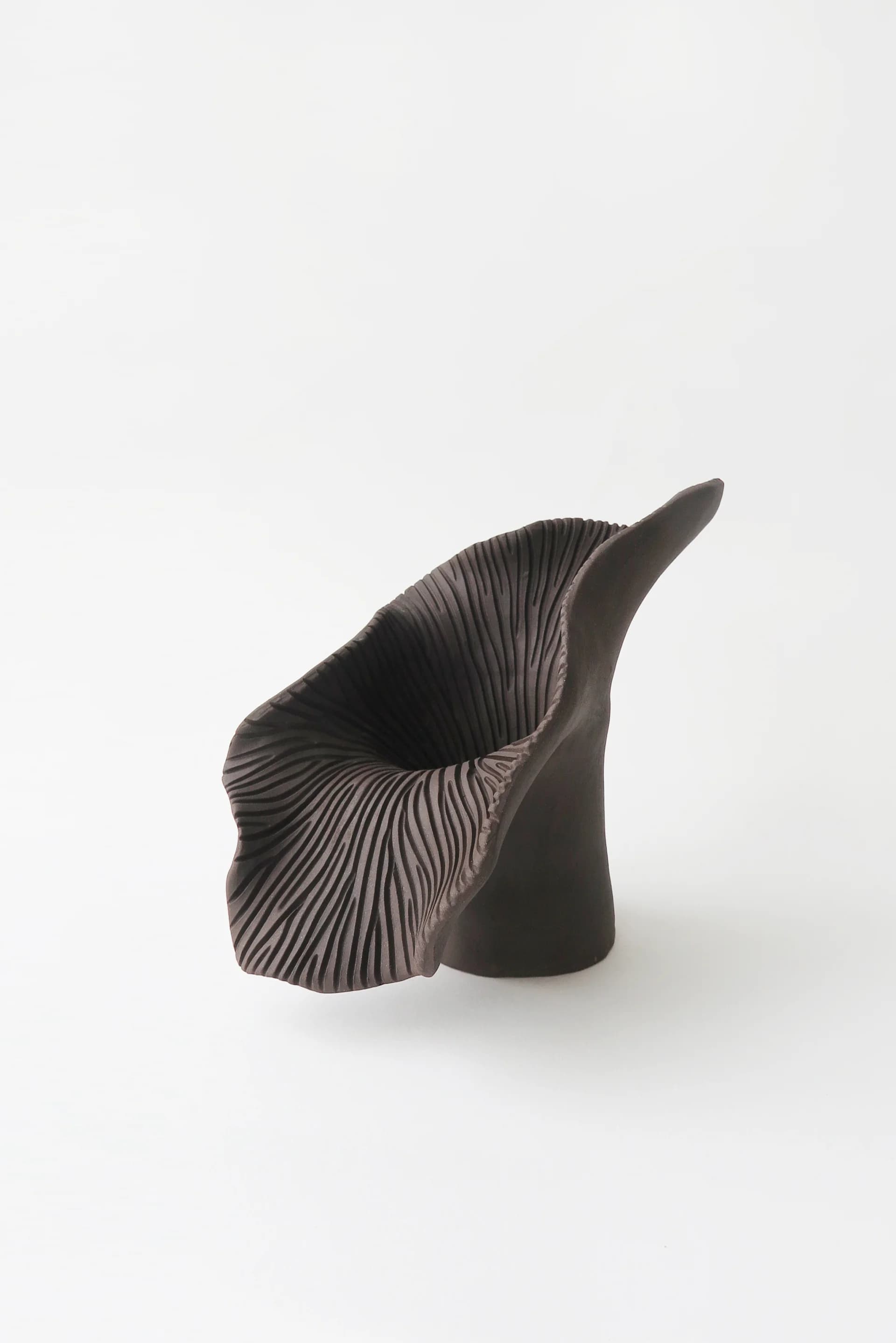 BOTANICAL UNFOLDING // No. 16