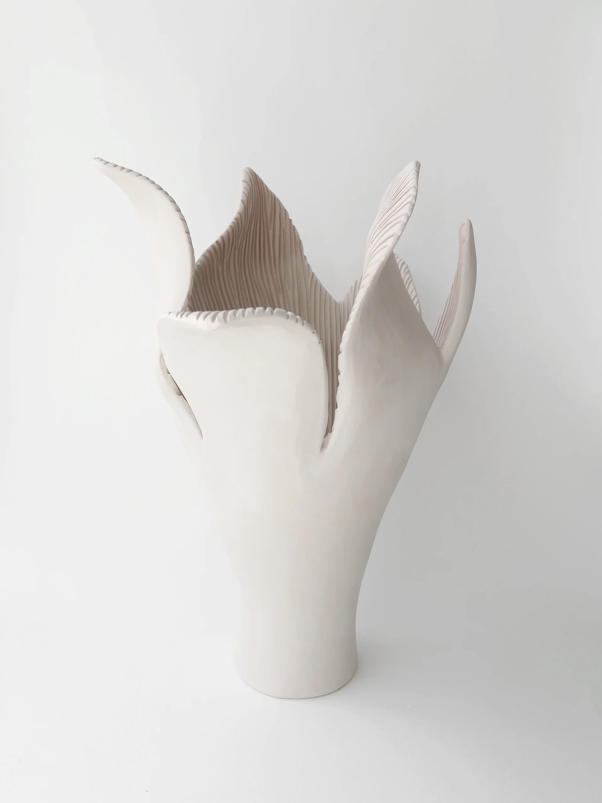 BOTANICAL UNFOLDING // No. 04