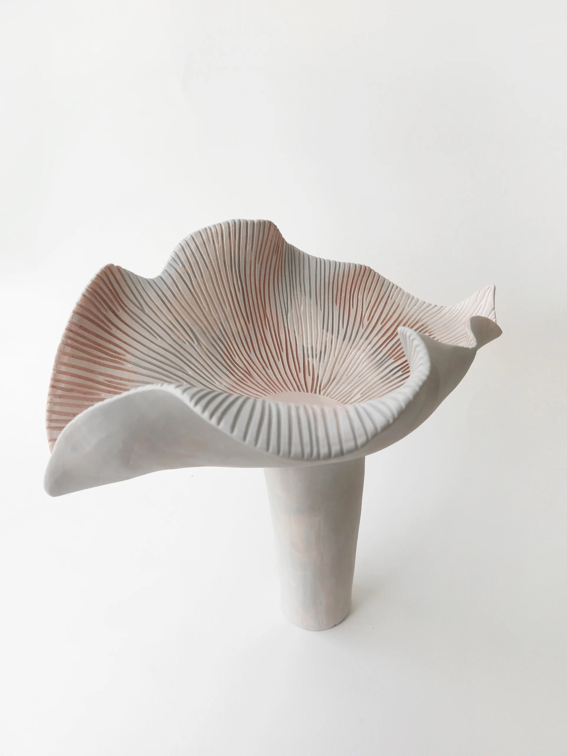 BOTANICAL UNFOLDING // No. 11
