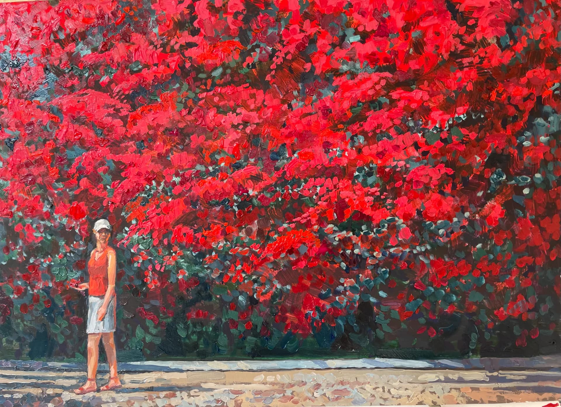 Bougainvillea flame. SOLD