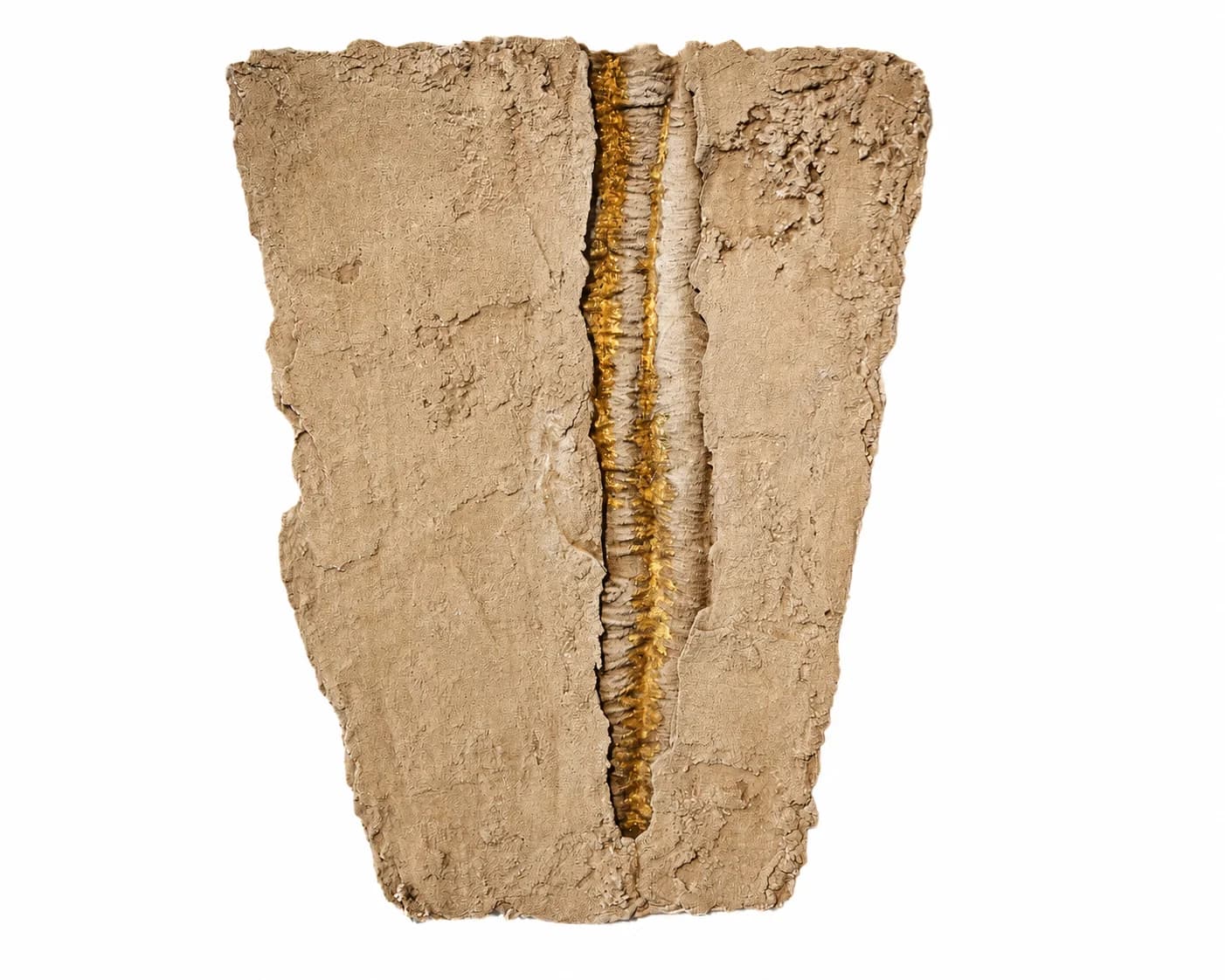 Gilded Fault