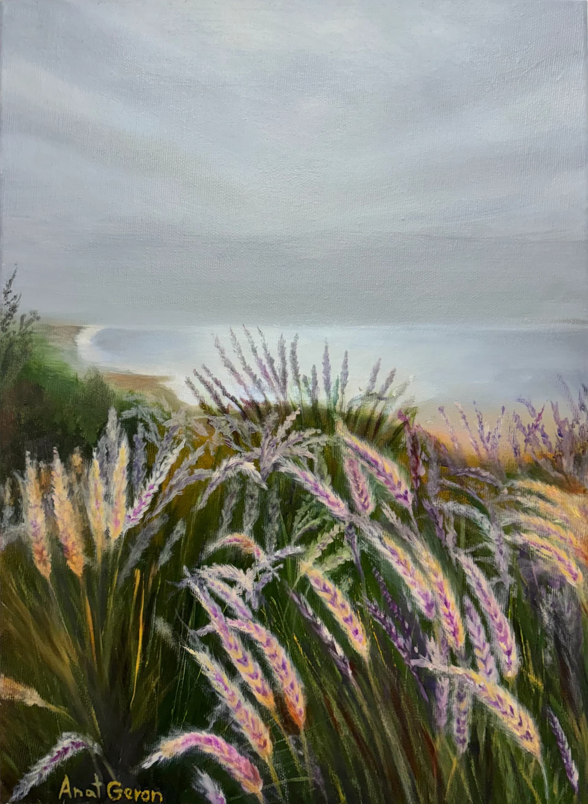 Coastal Lavender Light