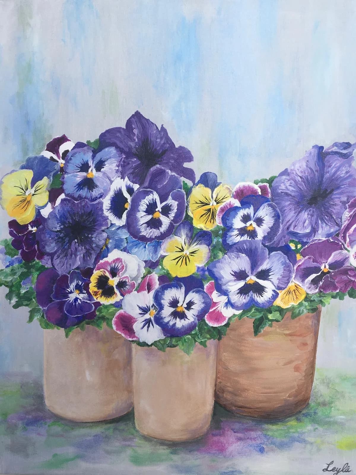 Faces of Spring