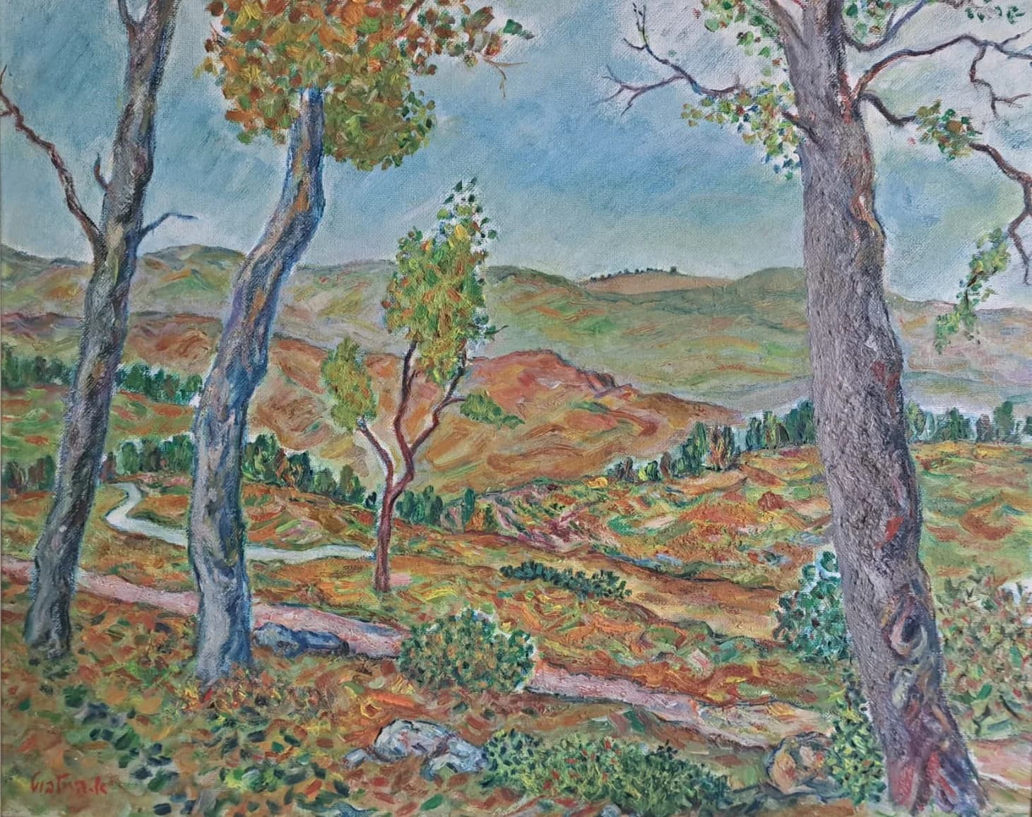 הרי יהודה - בין העצים