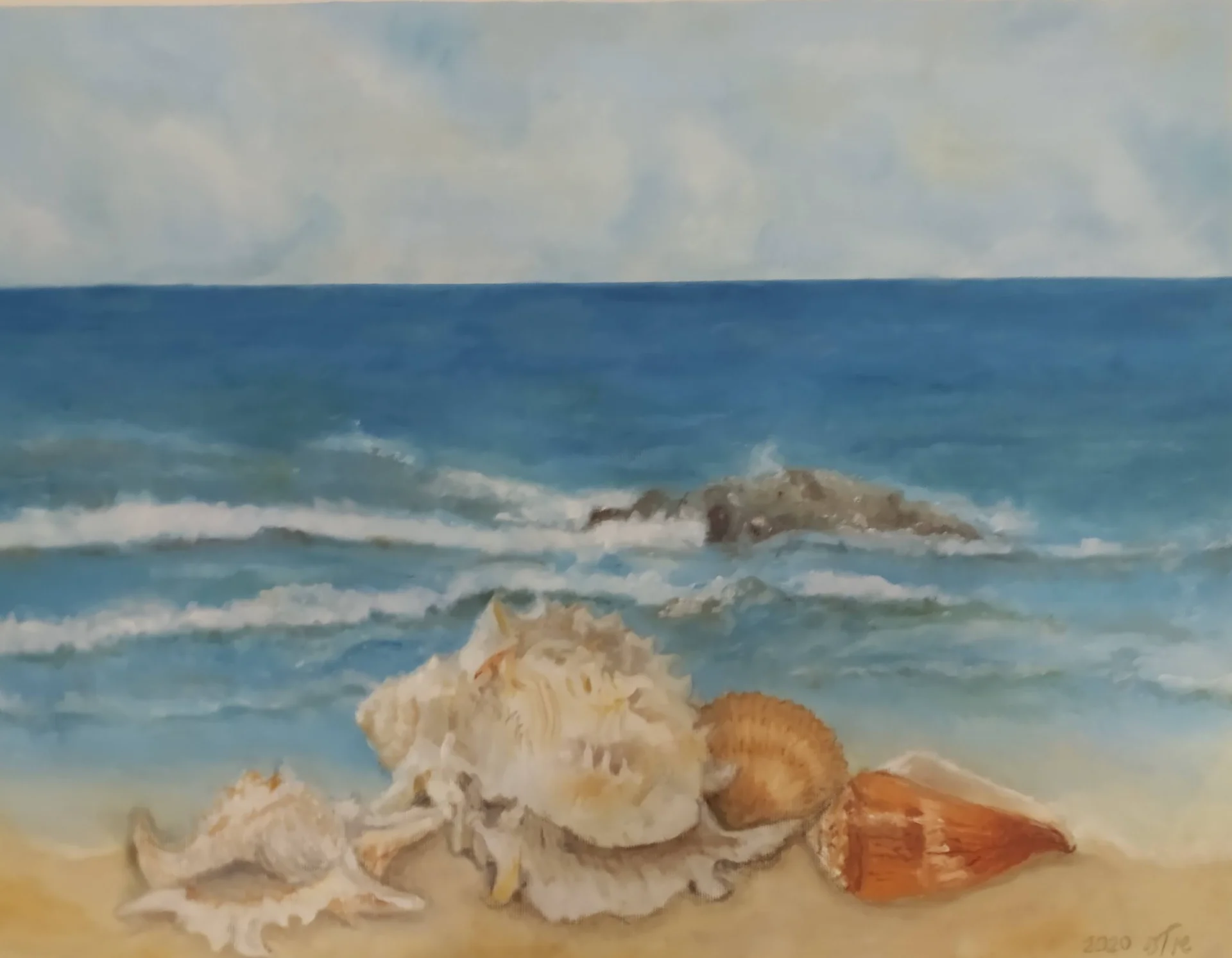 Shells by the Tide