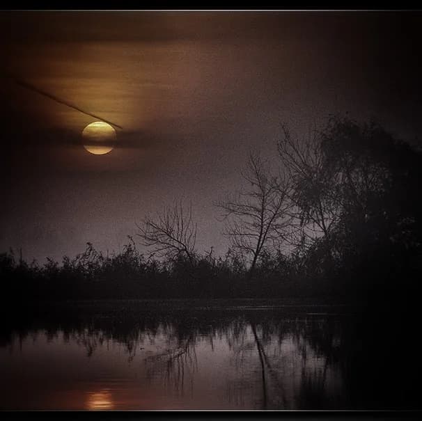 Moonlit Stillness