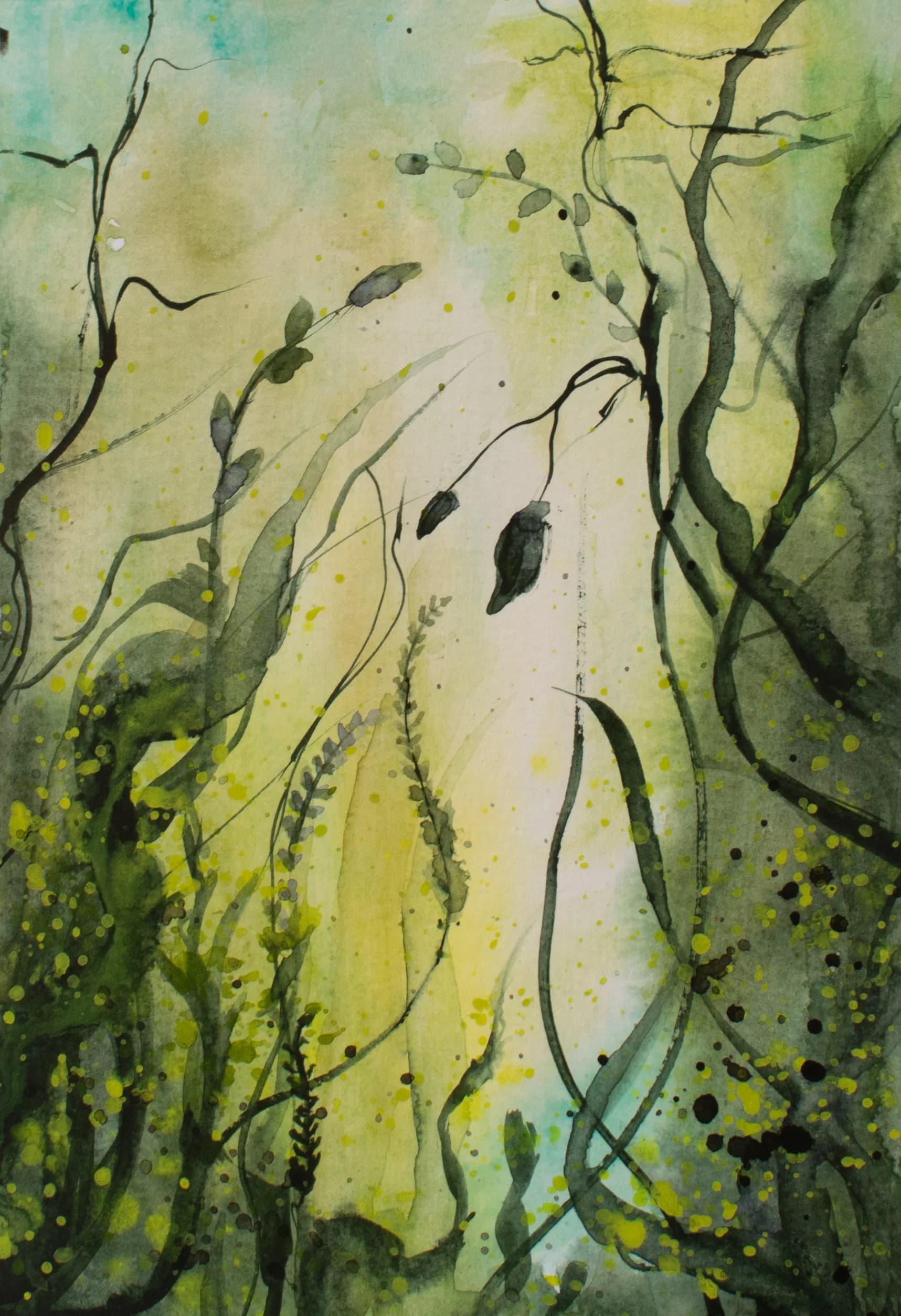 Mysterious Forest