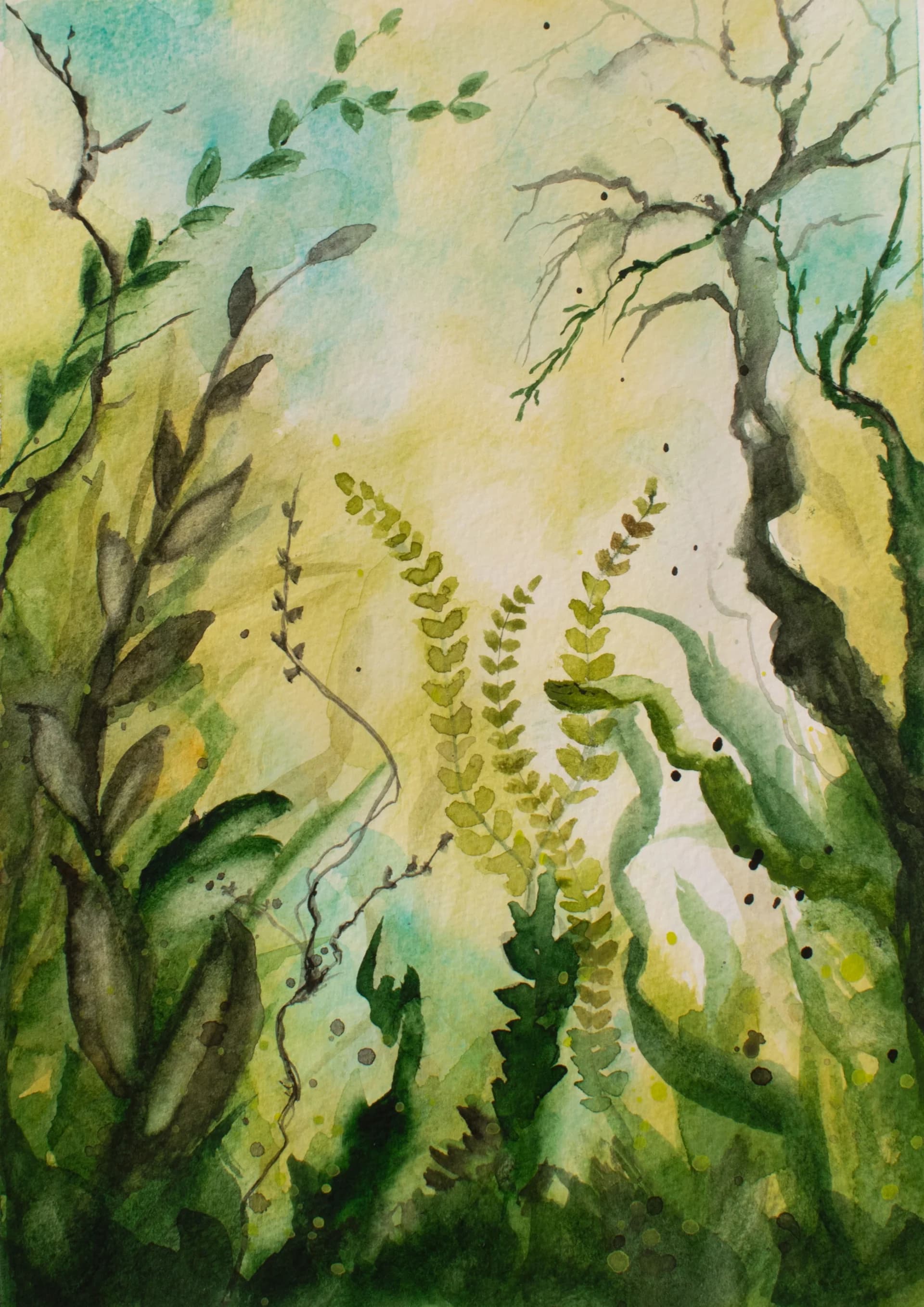 Woodland Veil