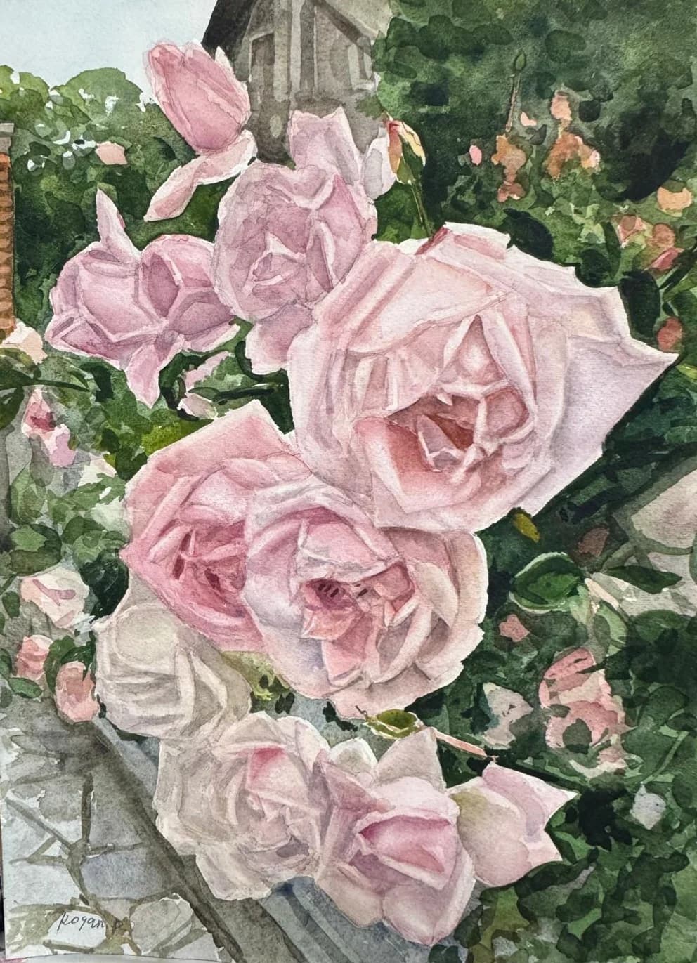 Blush Roses in Bloom in Bulgary