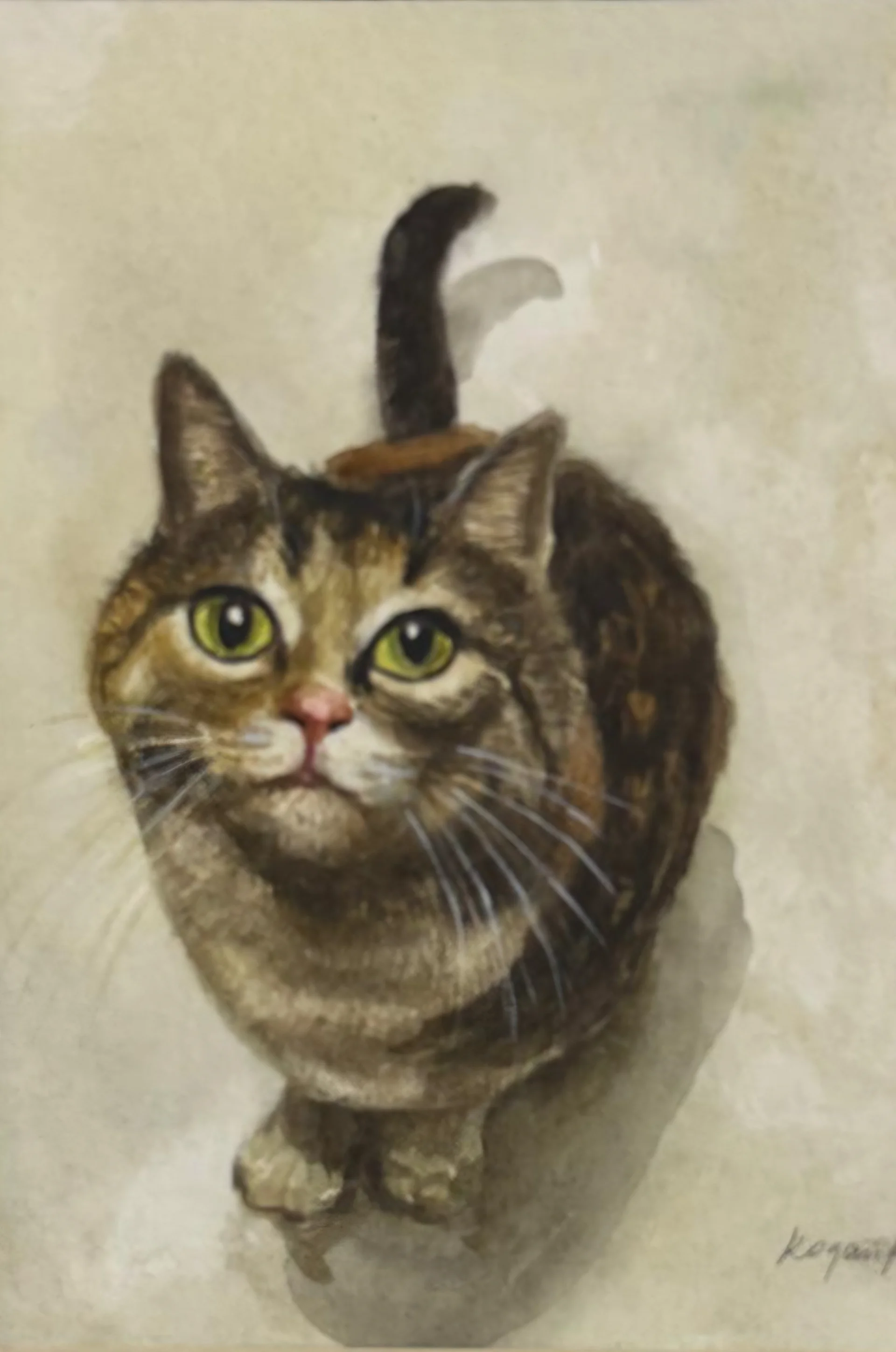 Quares Cat