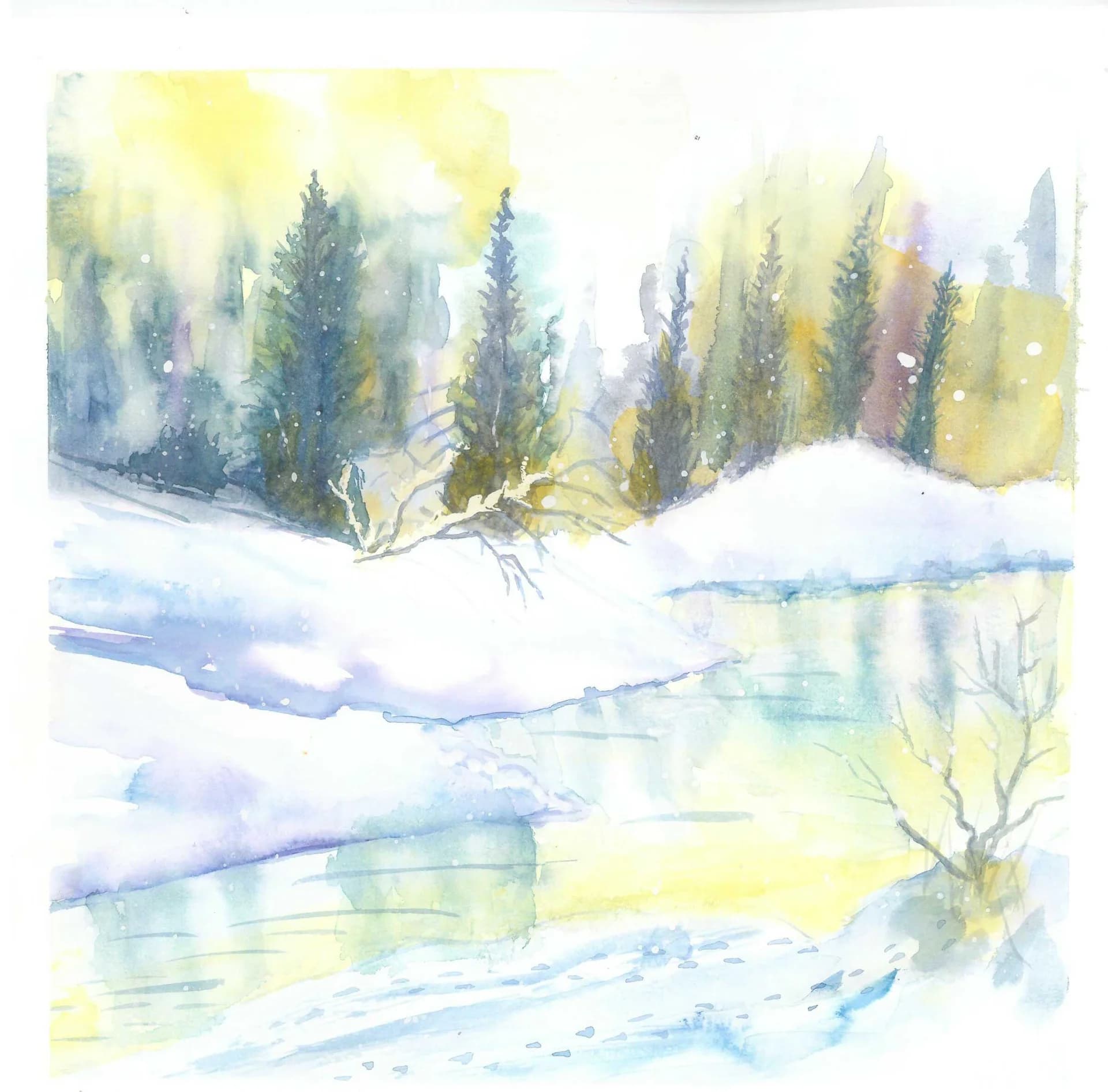 Winter Light Through Pines