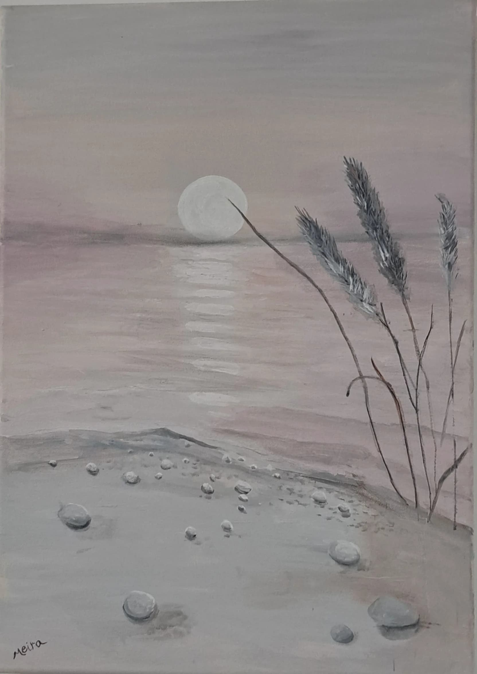 Blush Tide Moon