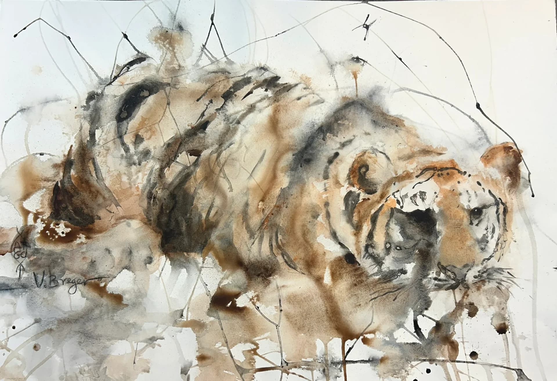 tiger in danger of disappearing
