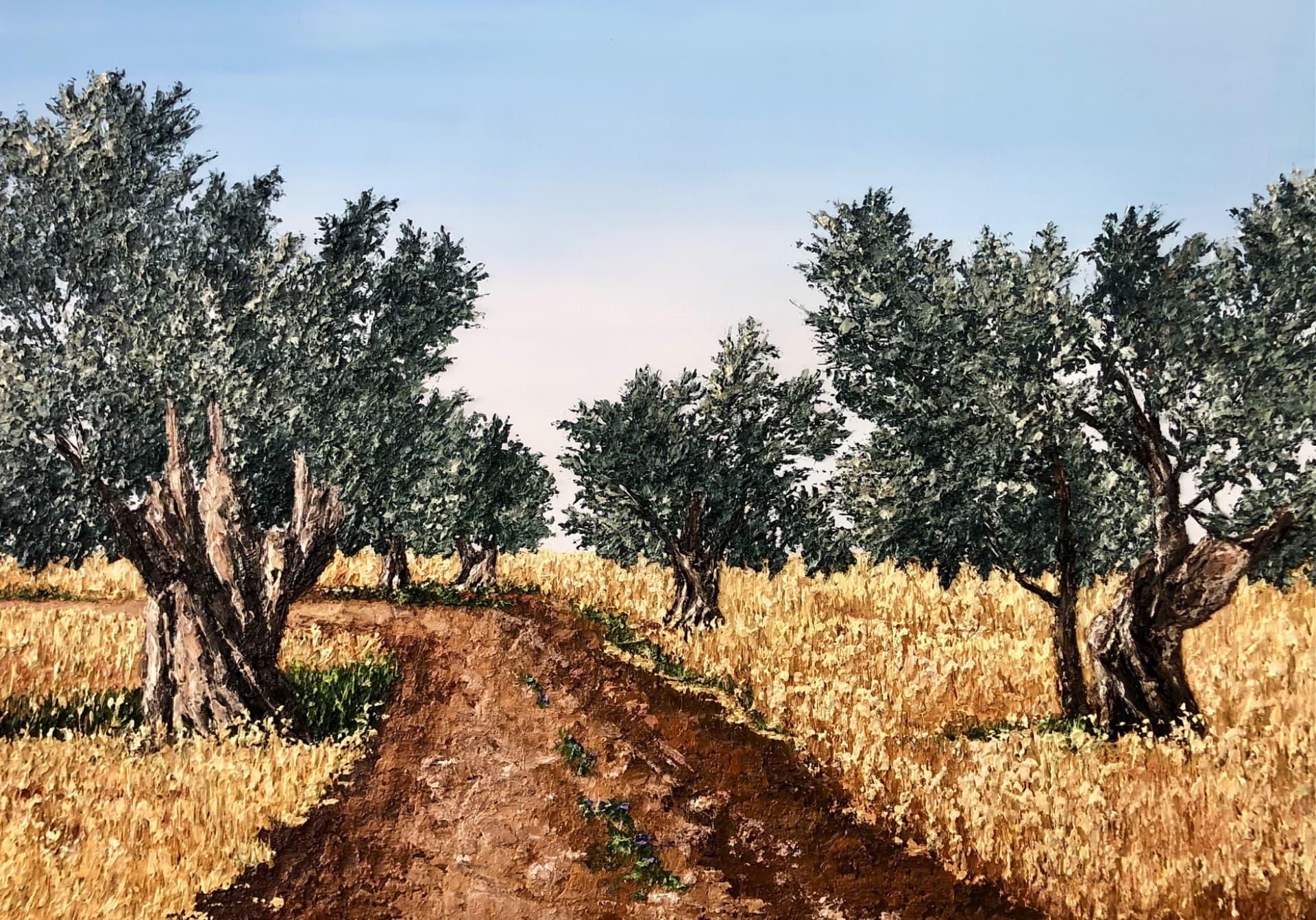 Olive Grove Path
