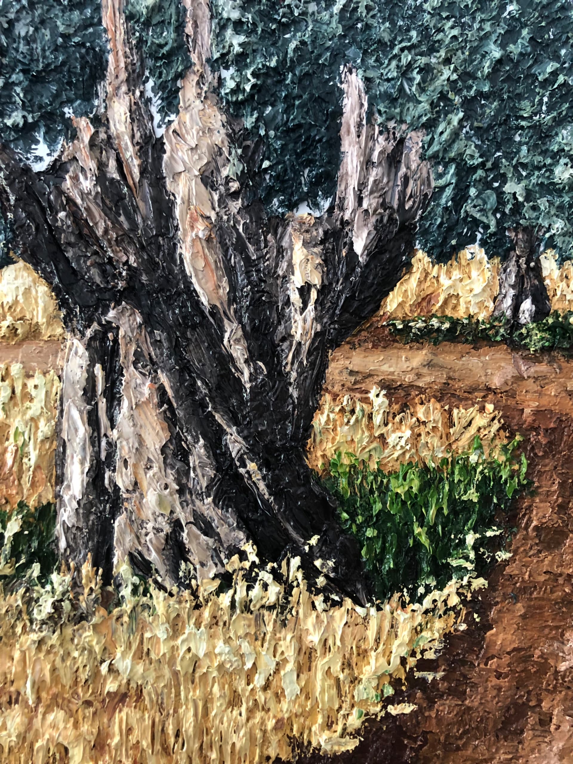 Olive Grove Path 2