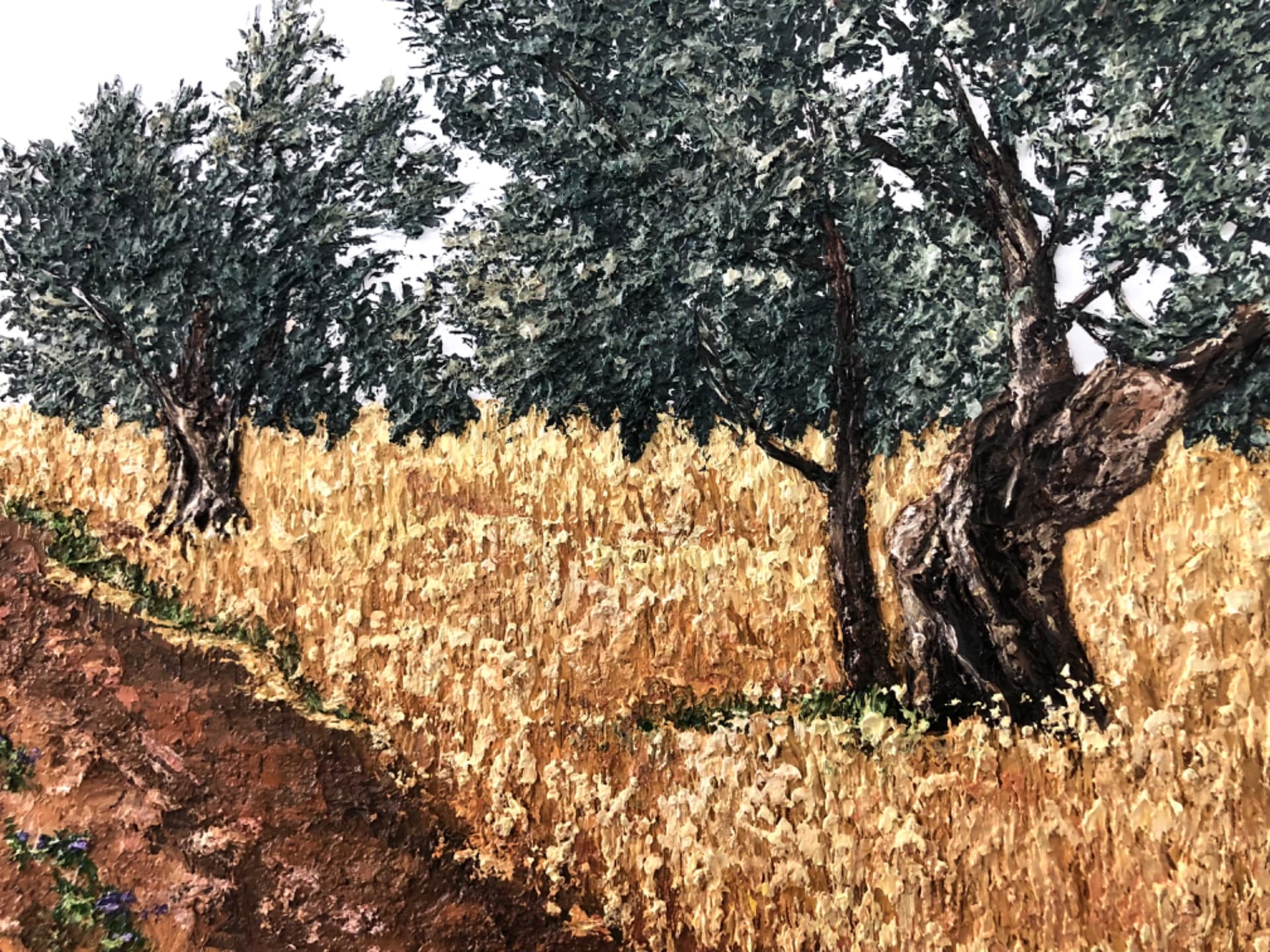 Olive Grove Path 3