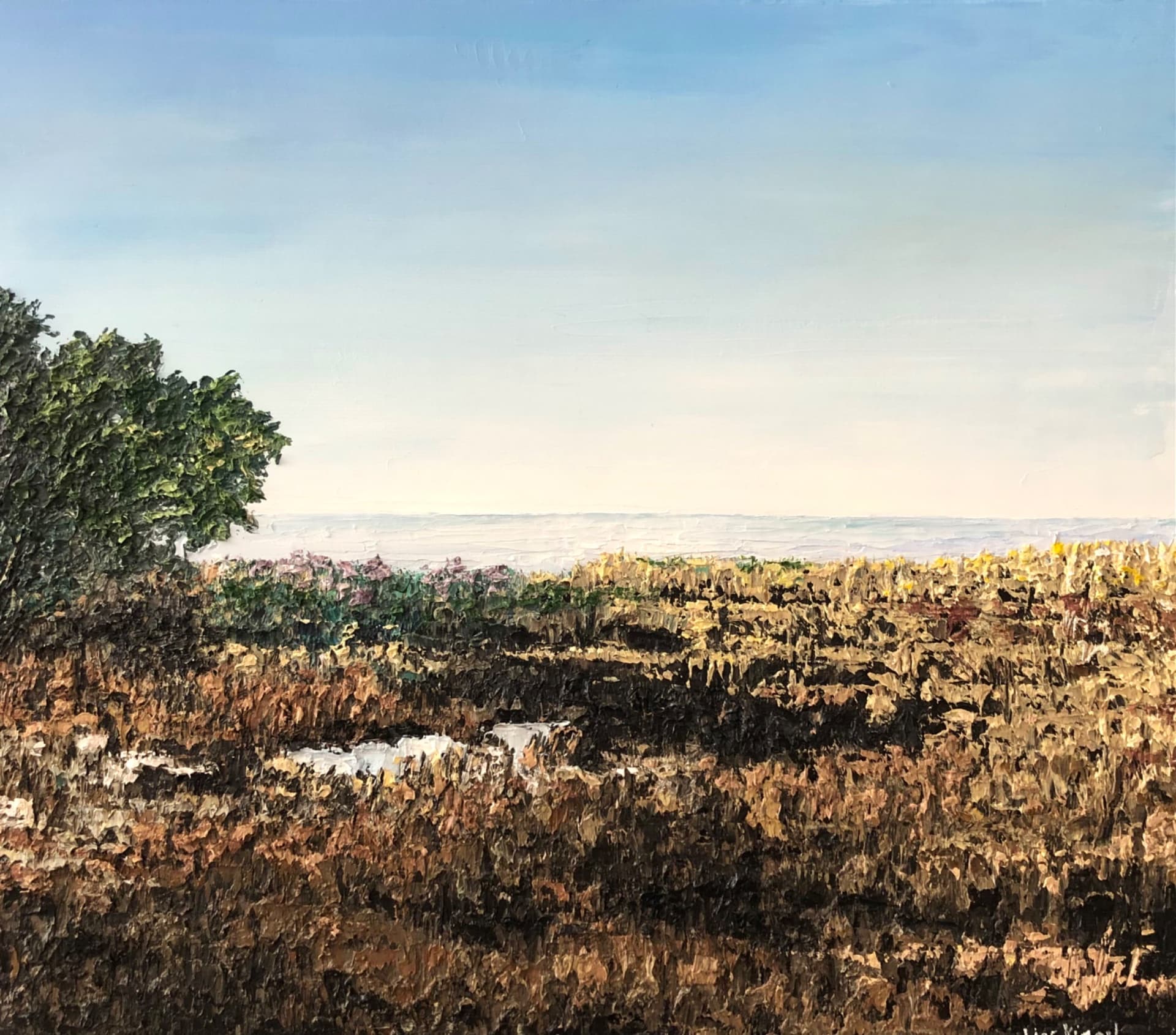 Coastal Field at Dusk
