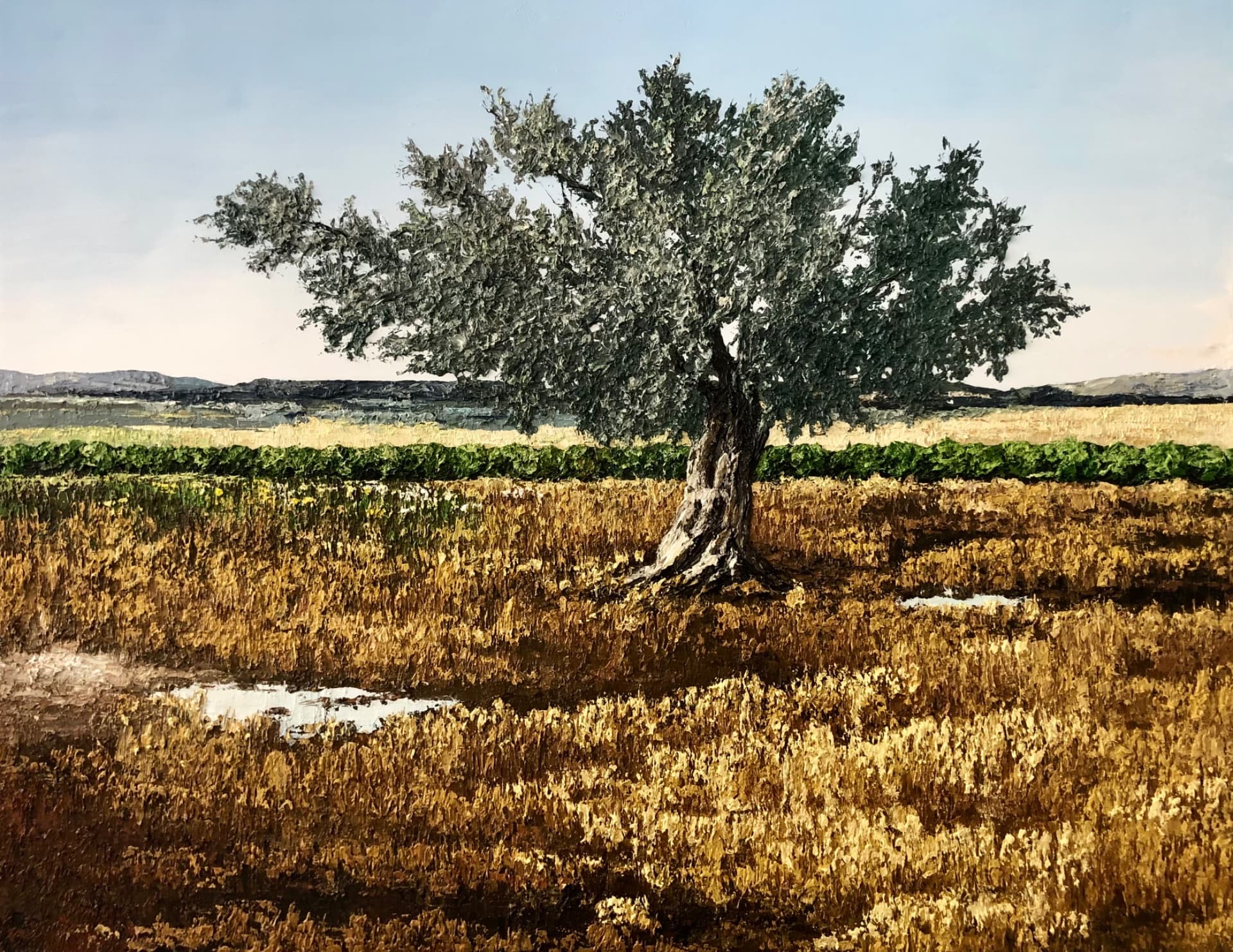 Olive Tree in Gold