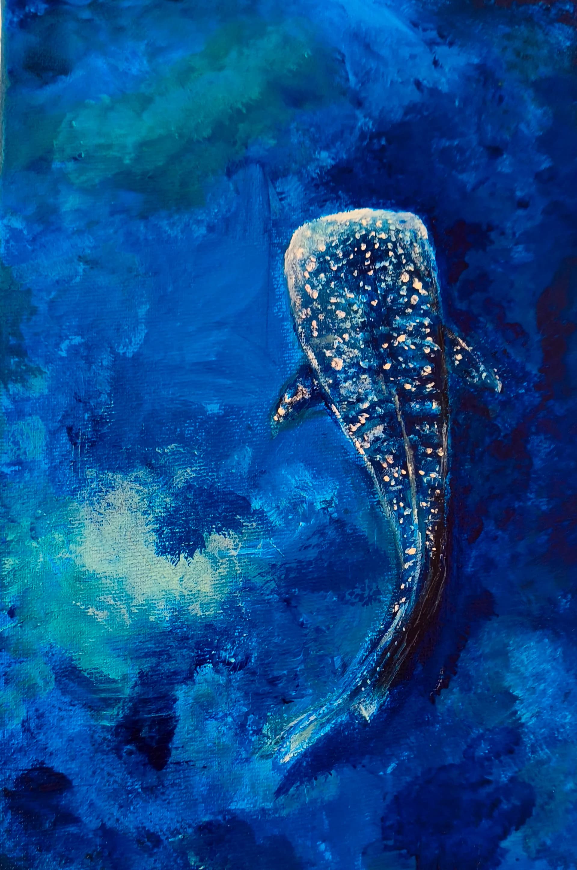 Midnight Whale Song