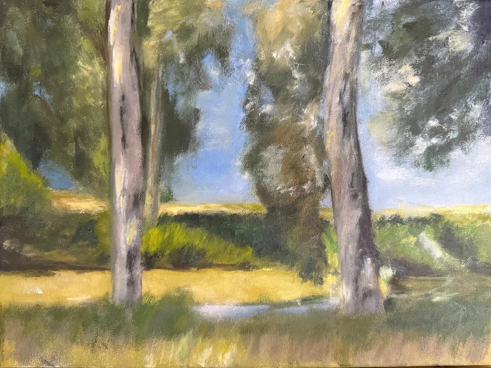 Eucalyptus by the Stream