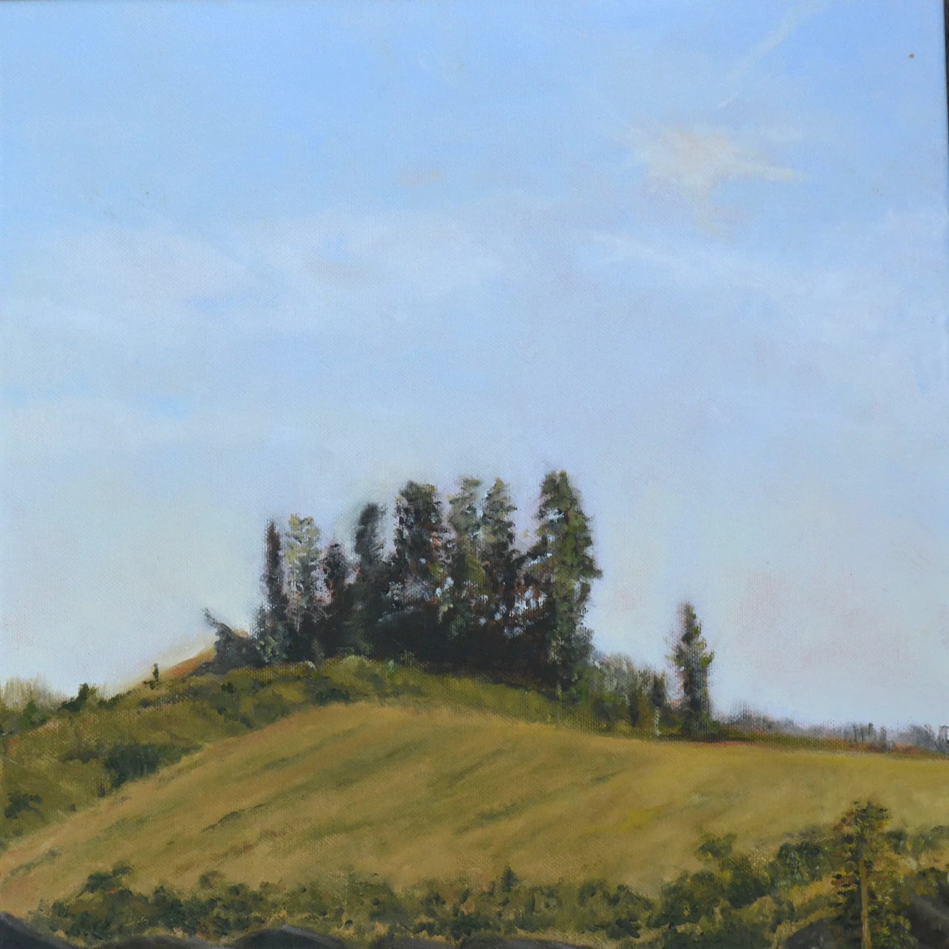 Hilltop Quiet