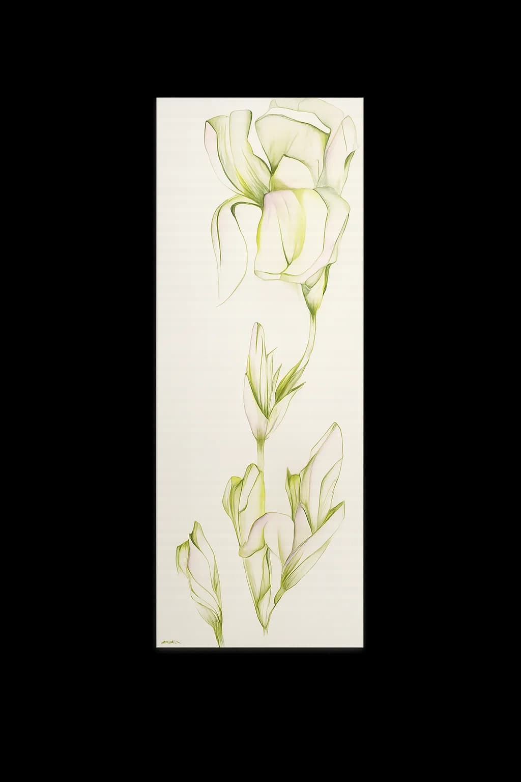 Whispering Calla Vertical
