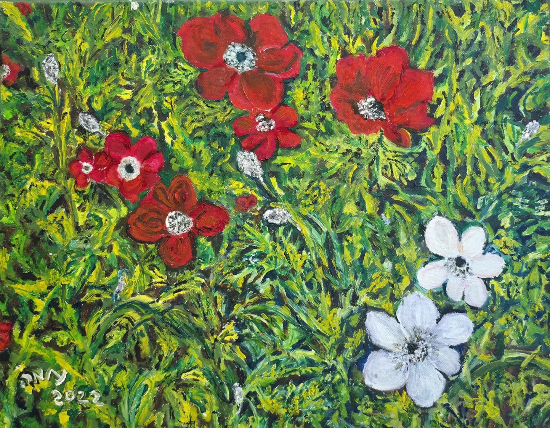 Anemones