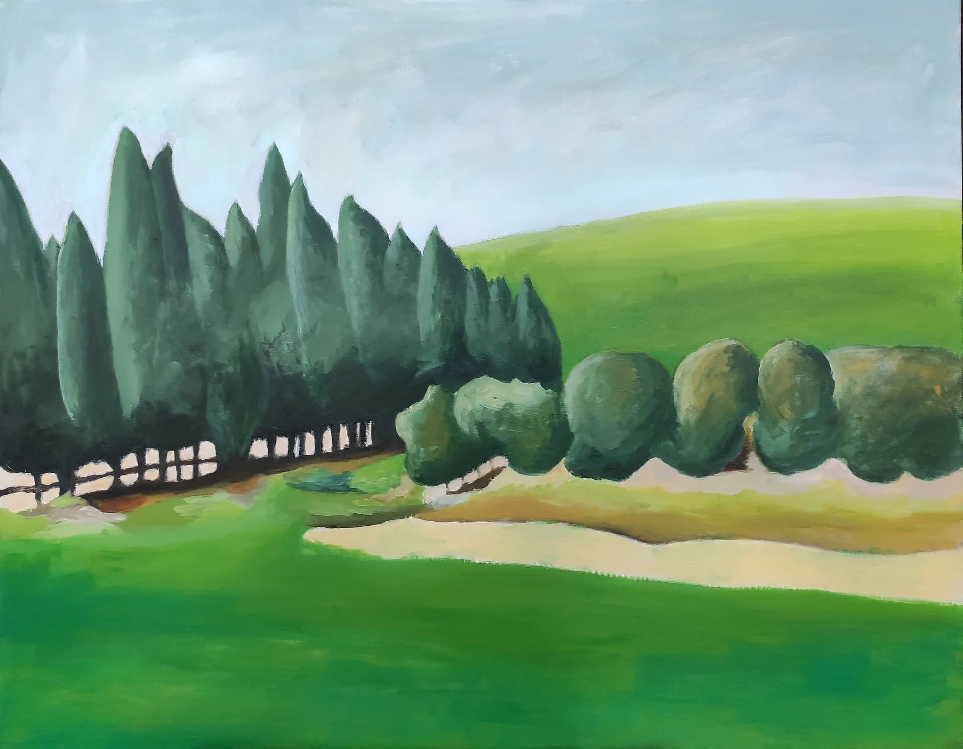 Cypress Line in Bloom