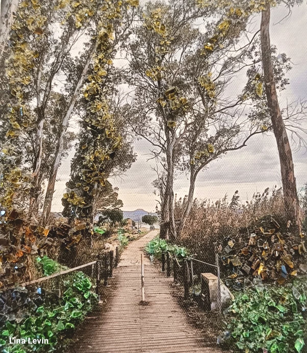 Path Through the Grove