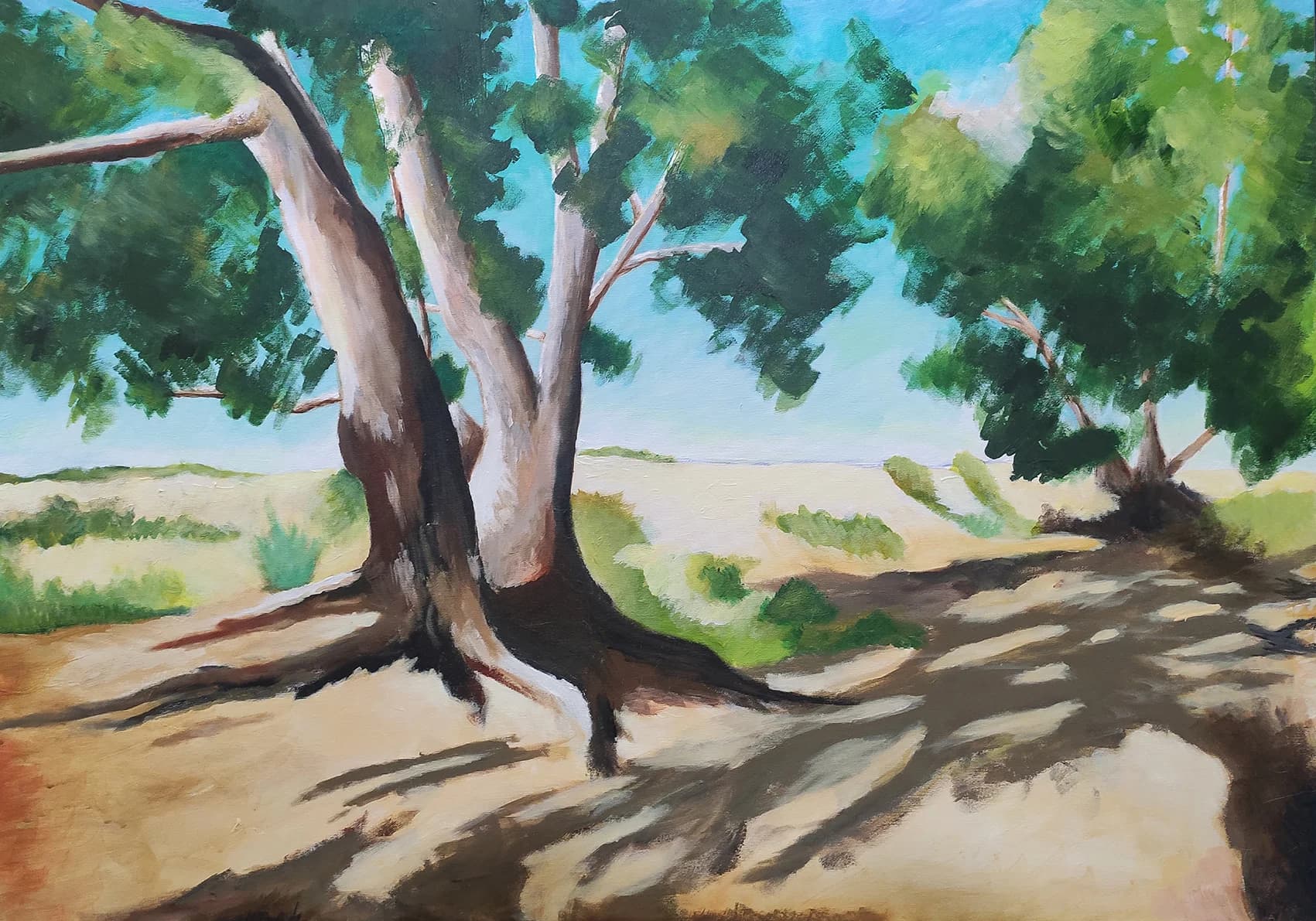 Shade of Eucalyptus