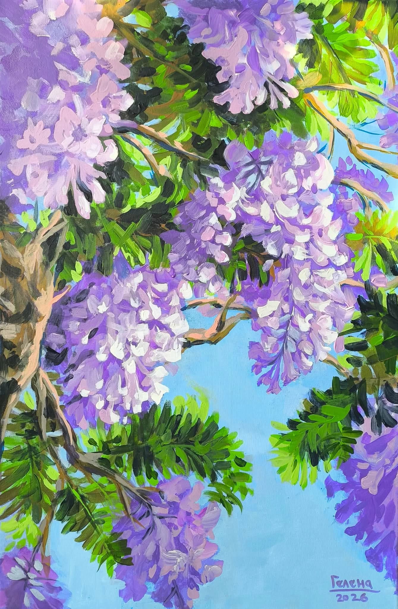 Jacaranda Canopy