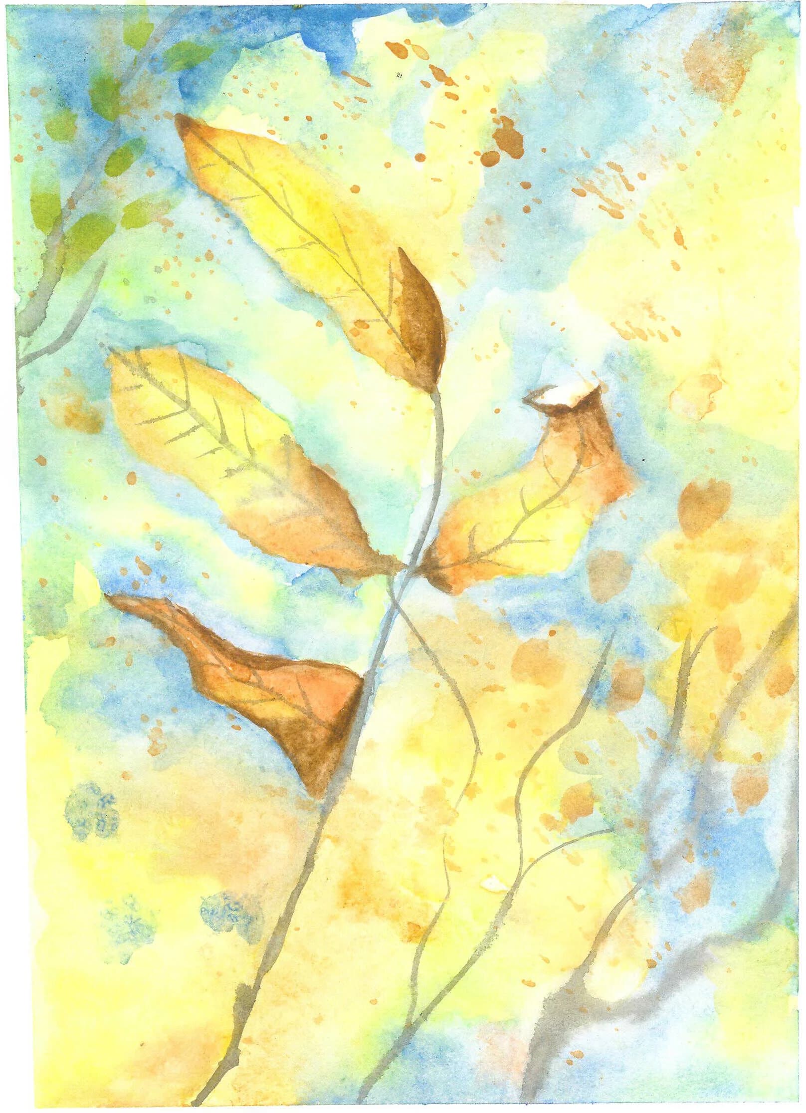 Shedding autumn leaves