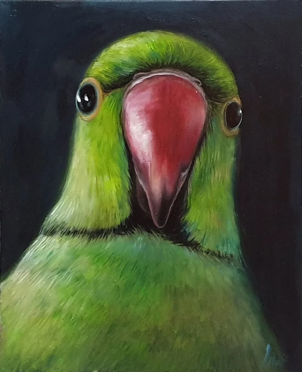 Emerald Gaze