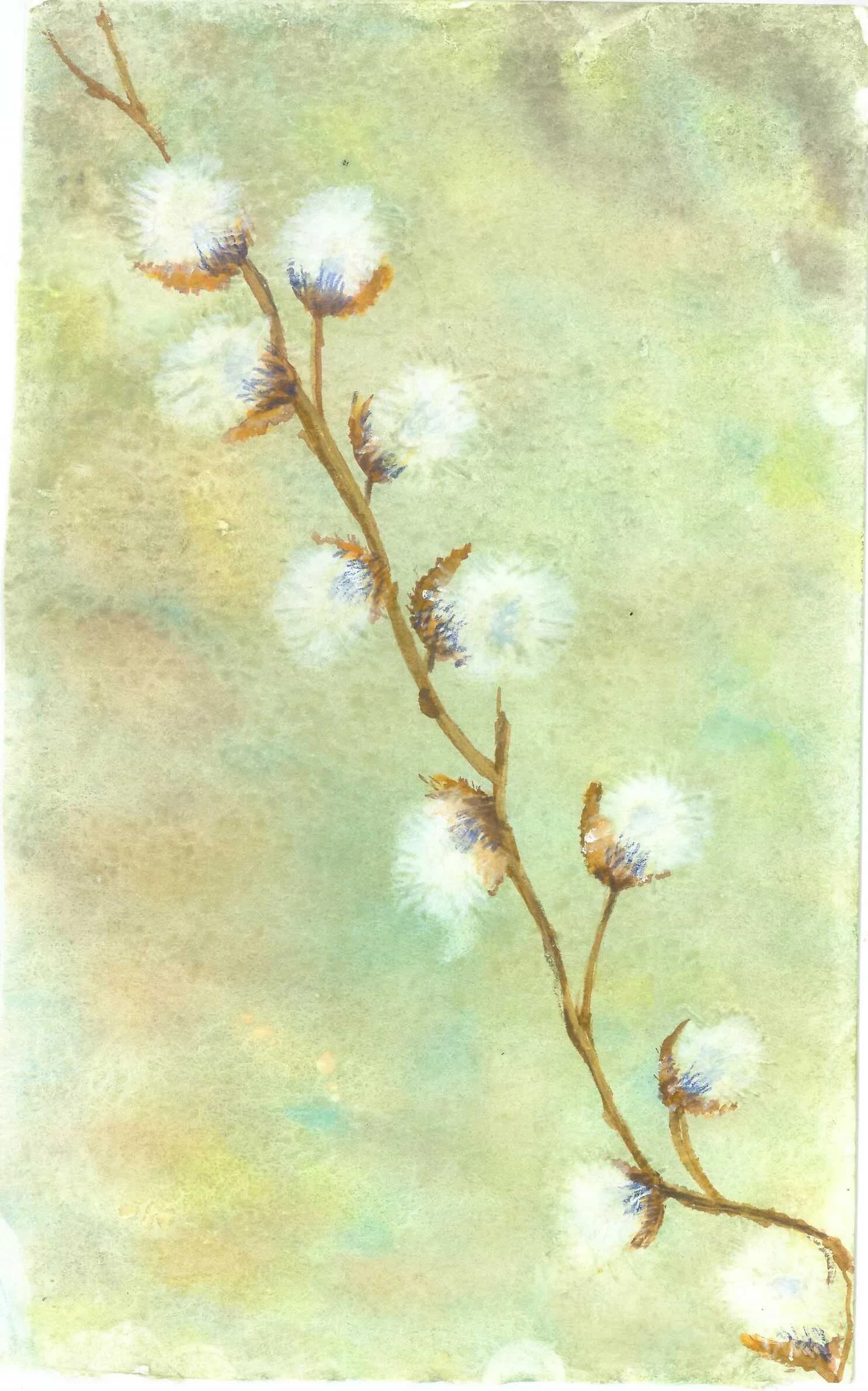 Soft Seedheads