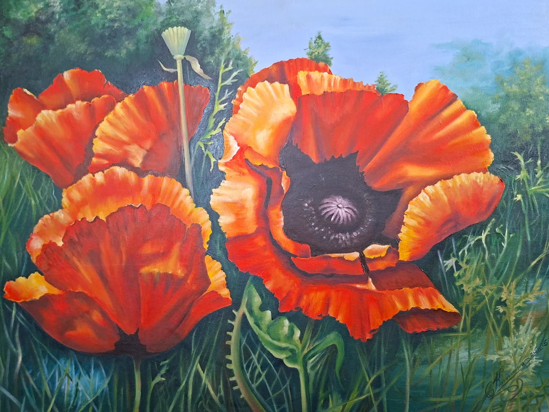 Echo of the Poppy Whisper