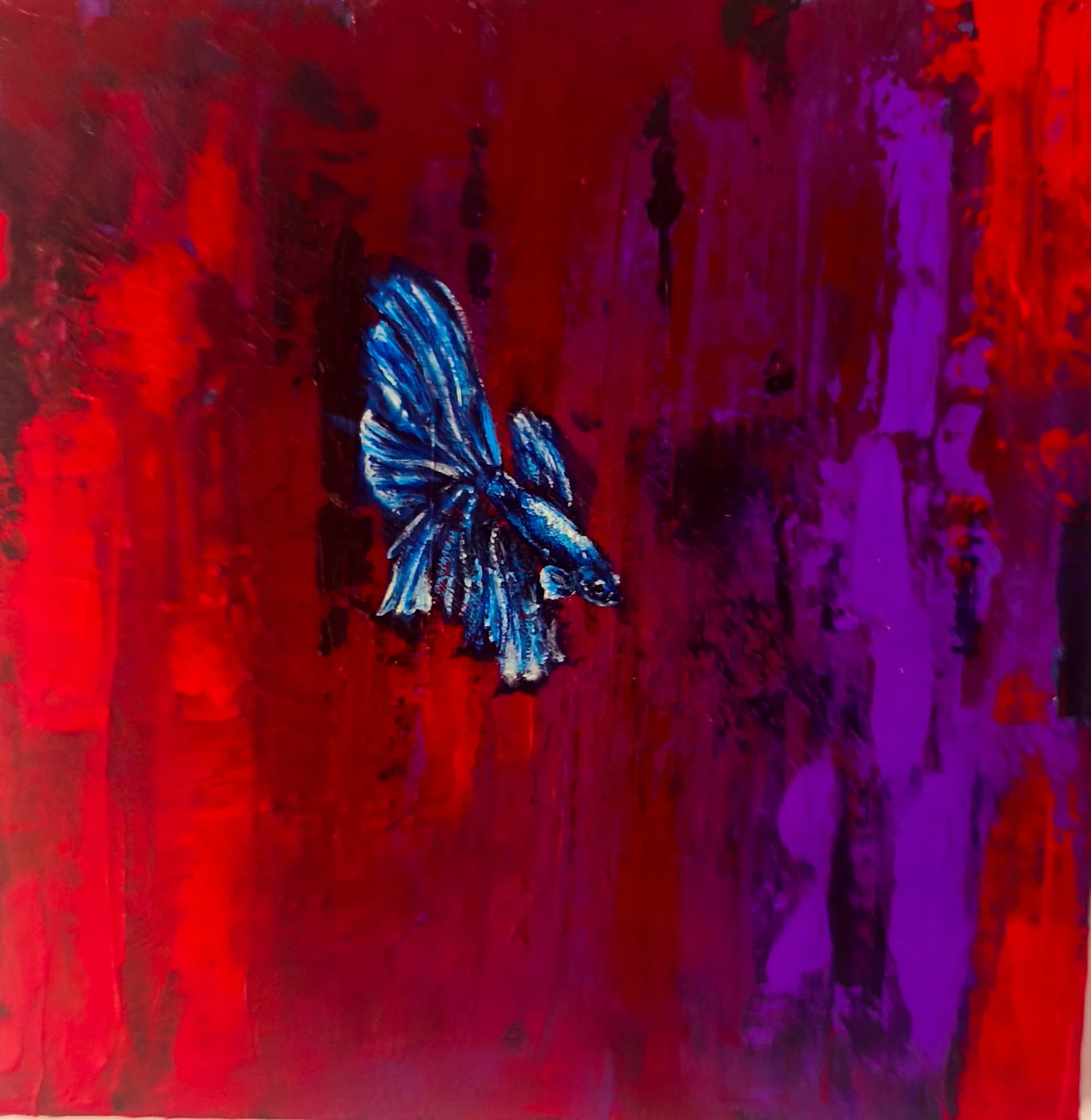 The blue betta fish