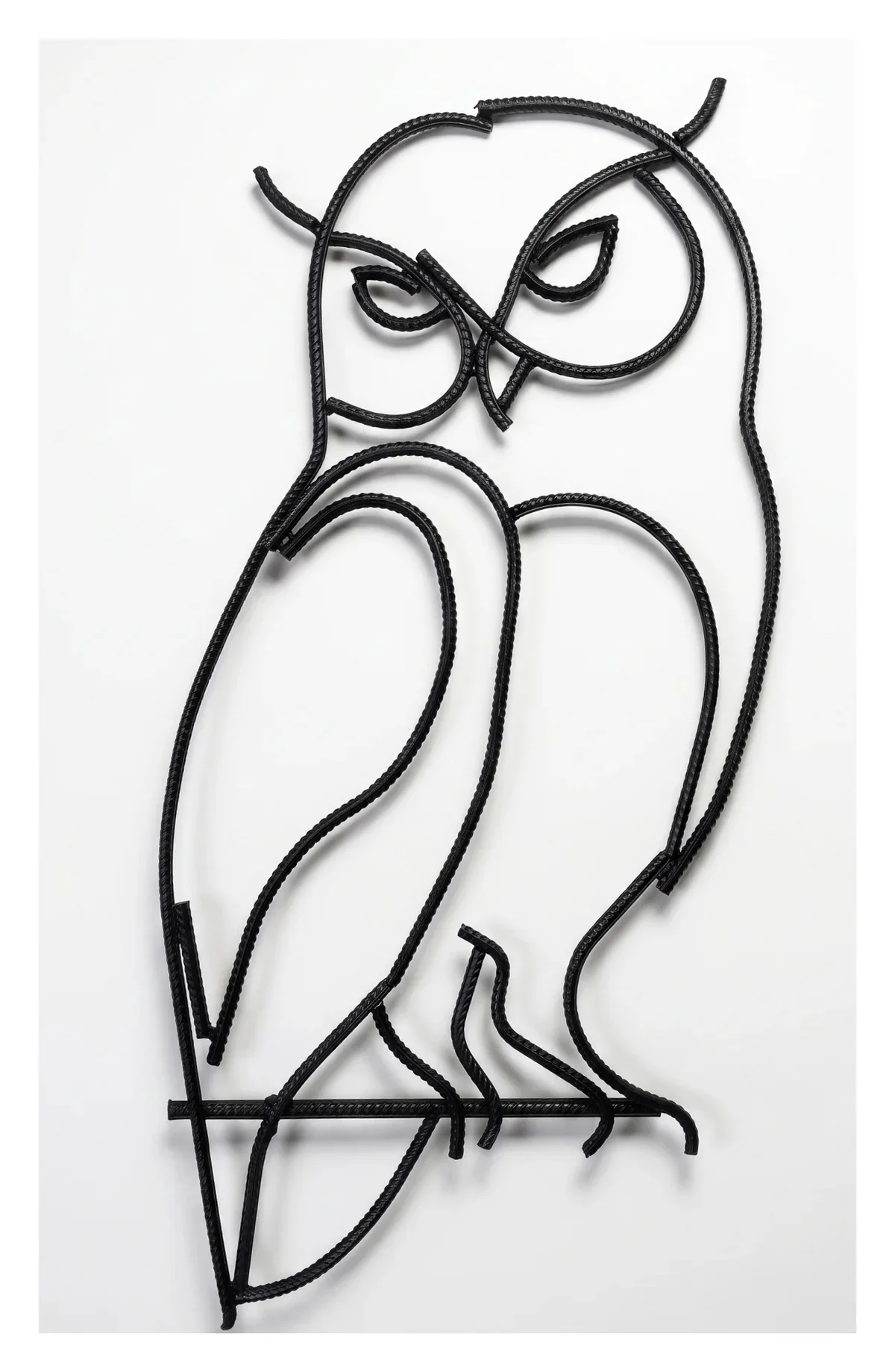 Wise Owl