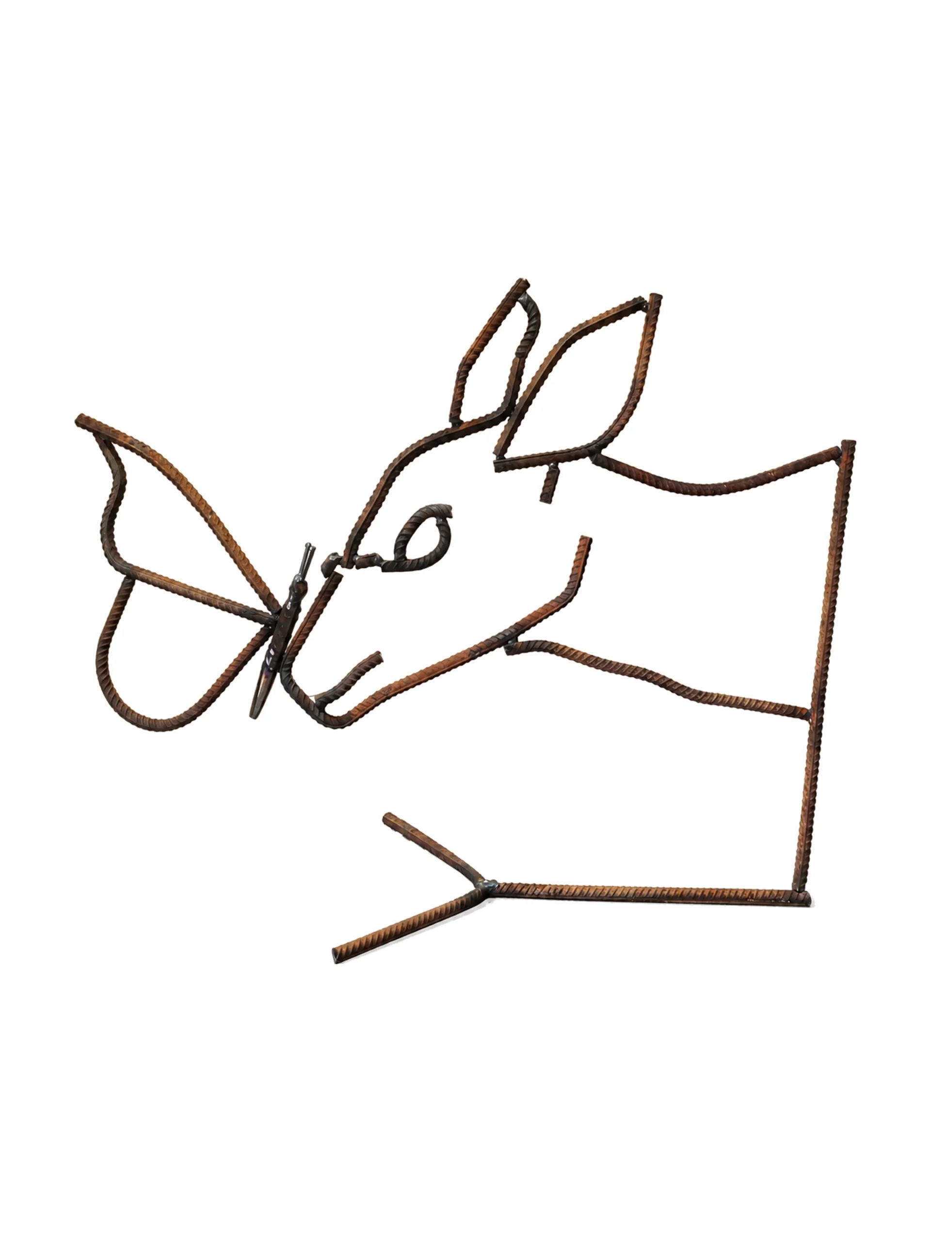 Doe and Butterfly