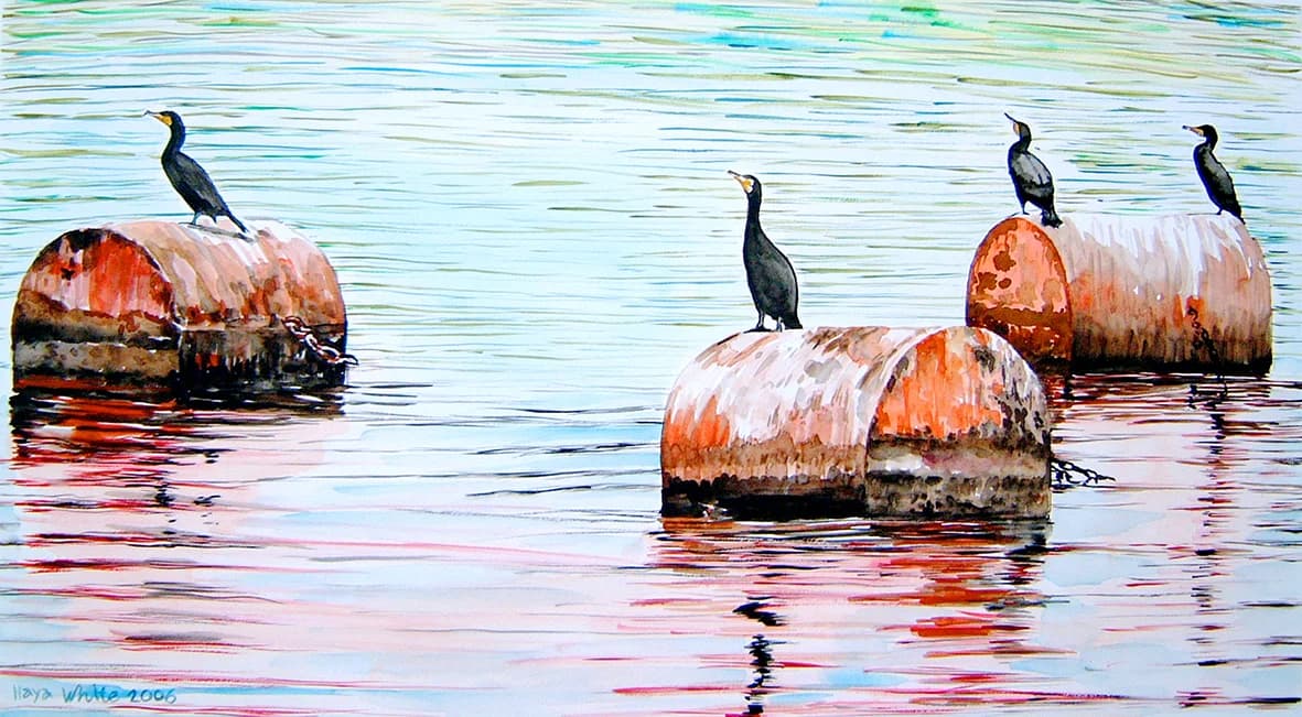 birds having break in the water