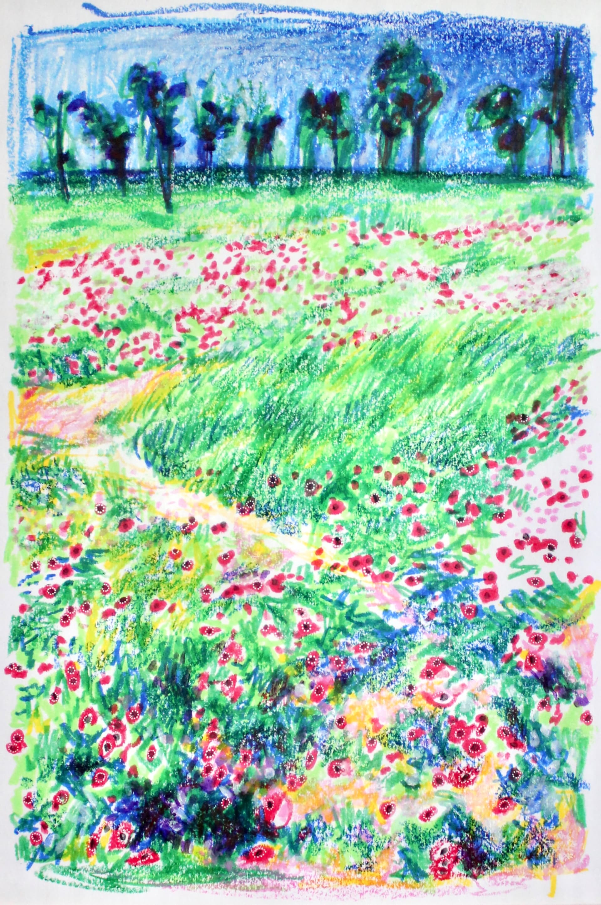 Shokeda Forest Darom Adom - Wildflower Field Path