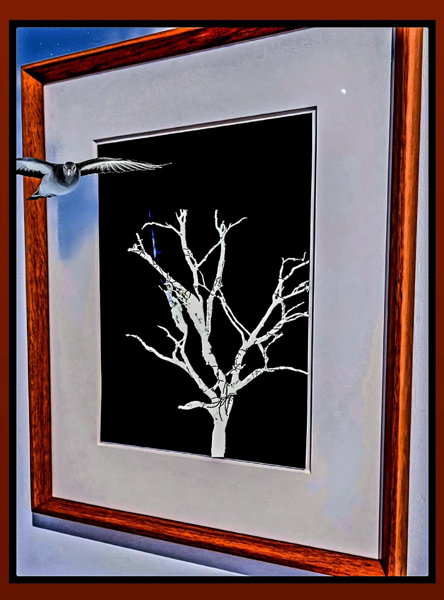 Bird by the Bare Tree
