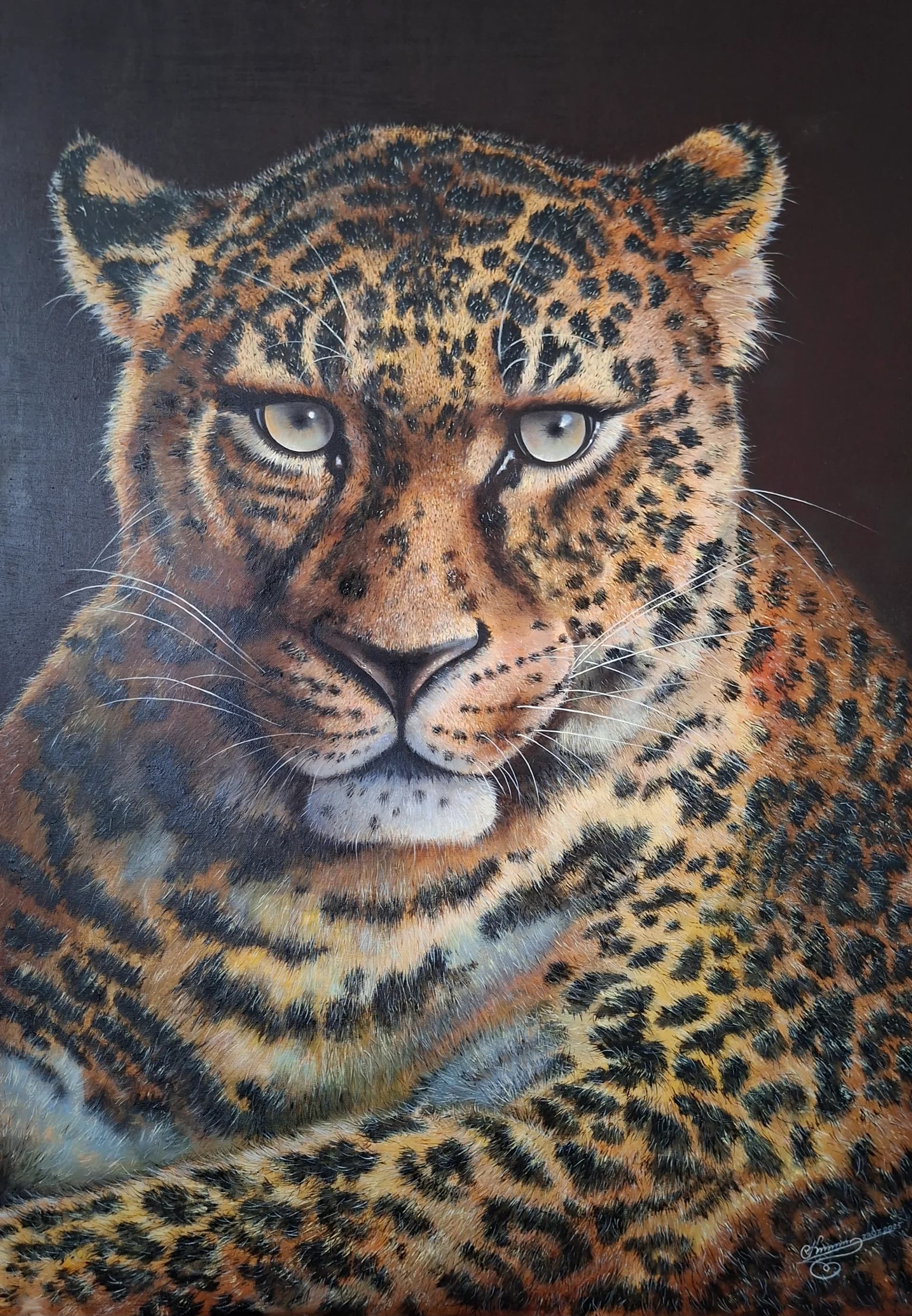 Leopard in Stillness