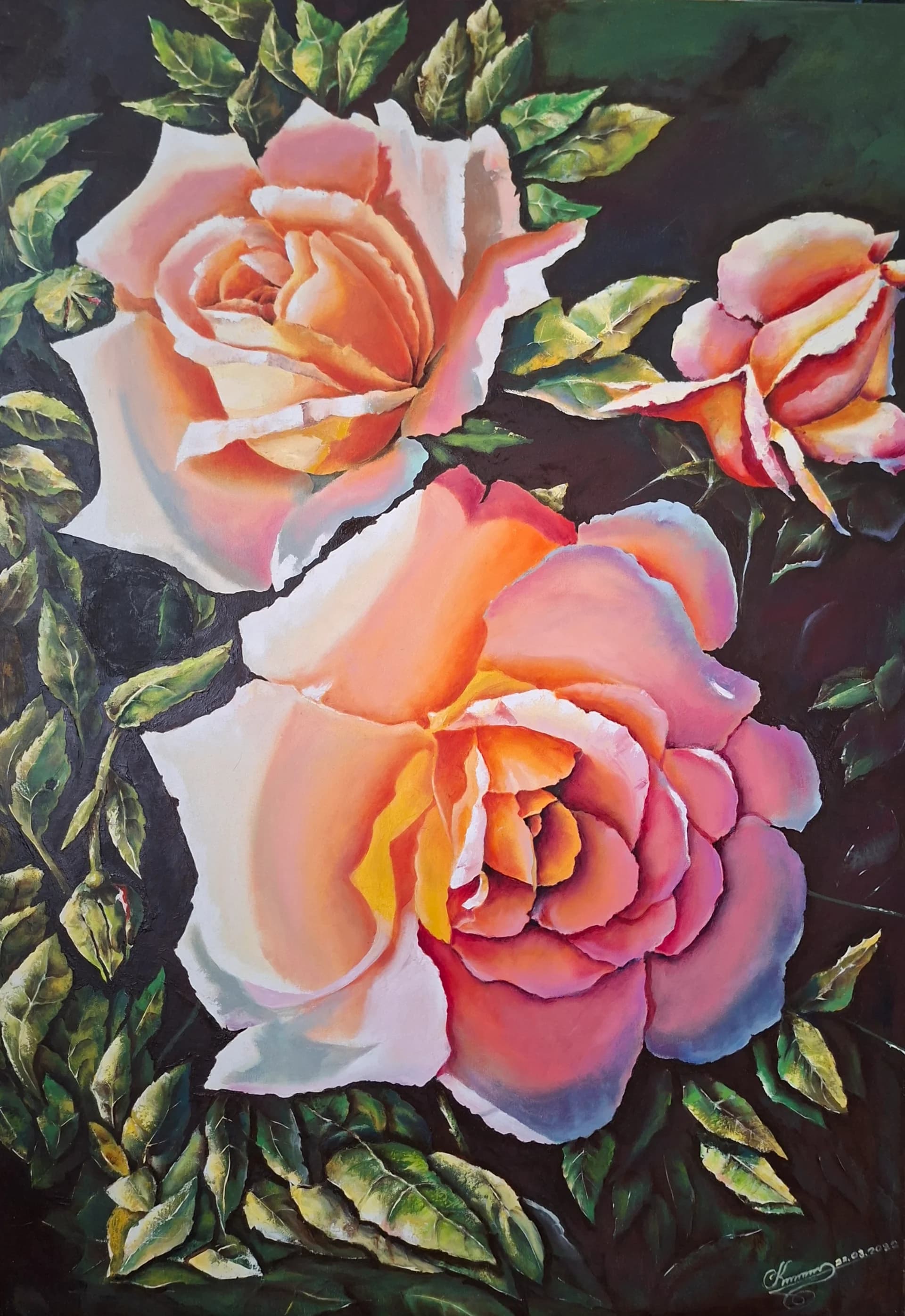 Roses in Deep Shade