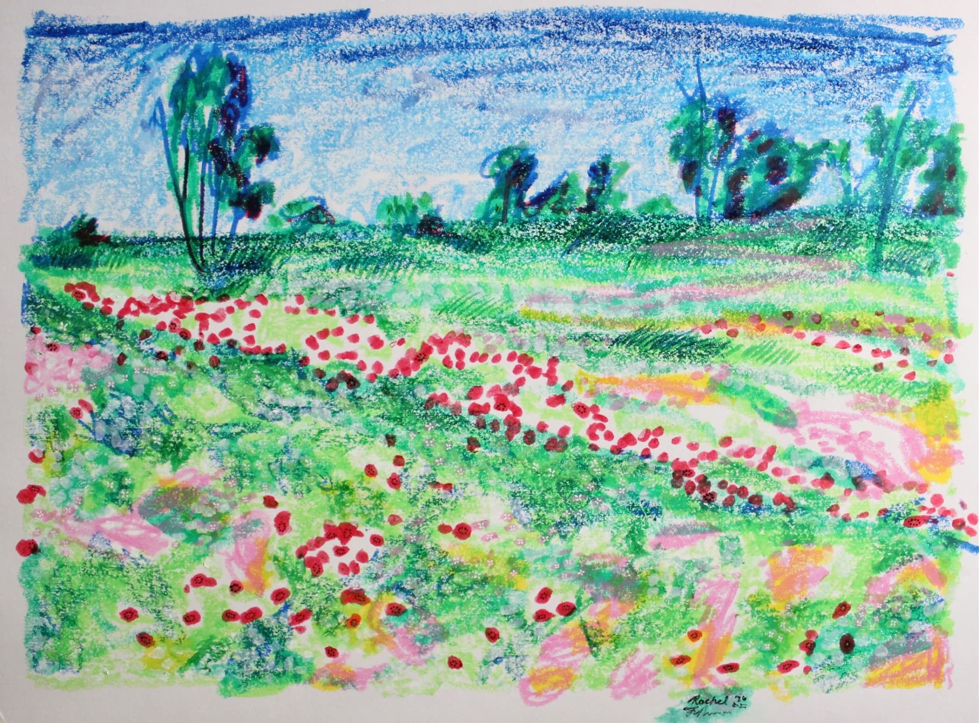 Shokeda poppies 2 - Flowering Meadow Path
