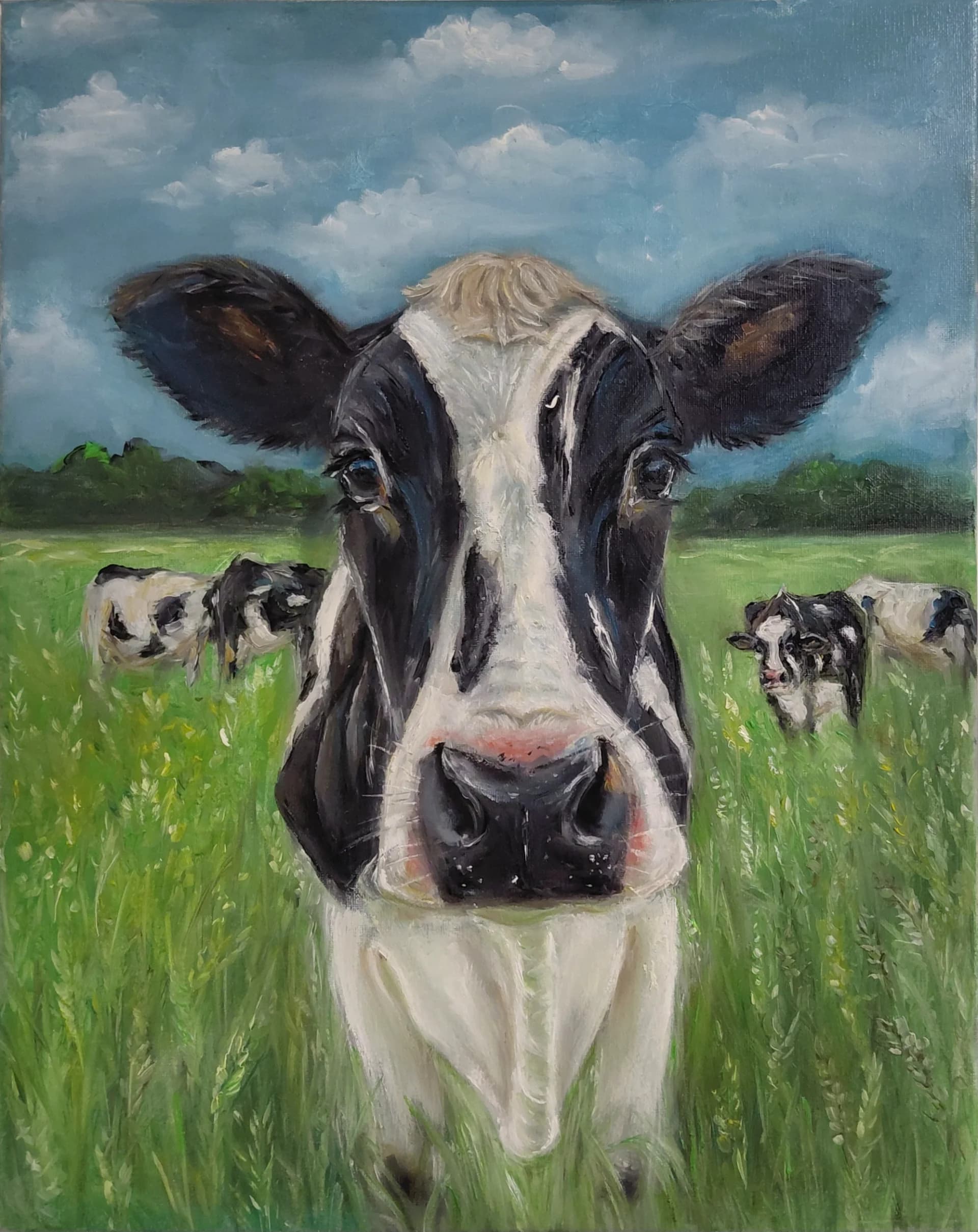 Curious Cow in Meadow